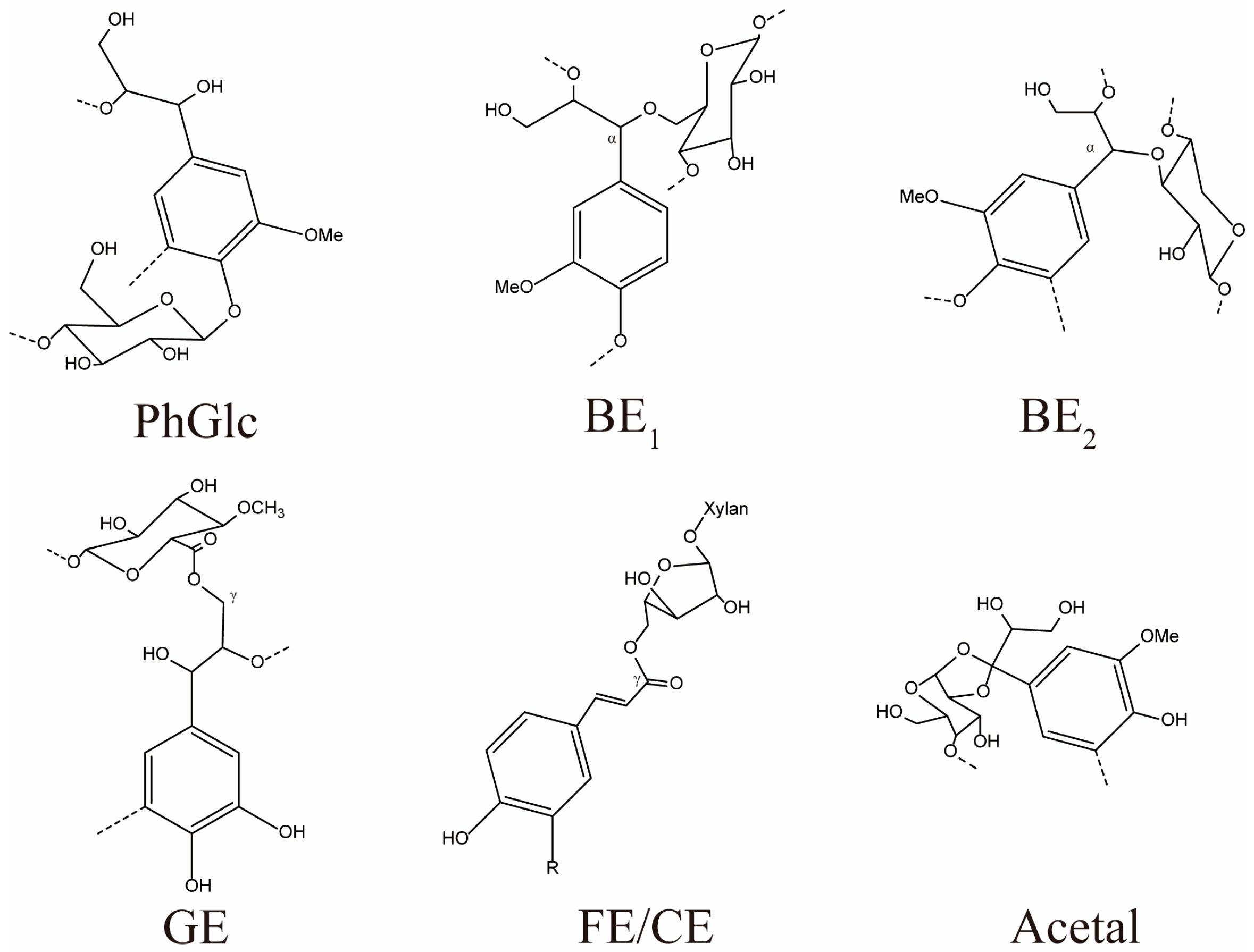 Polymers 16 01403 g001