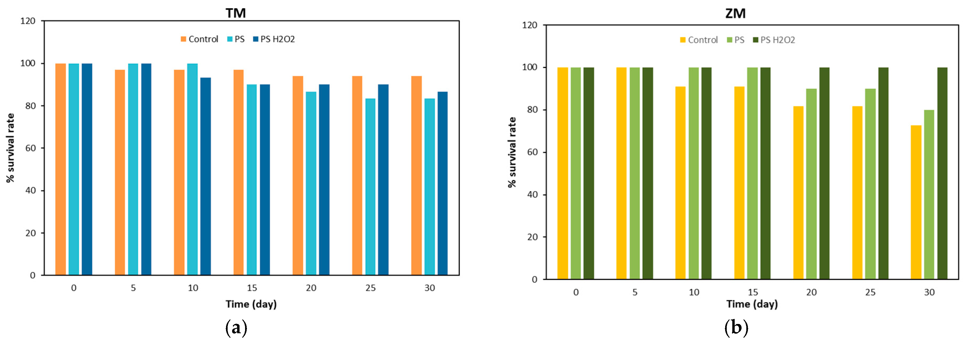 Polymers 16 01404 g003