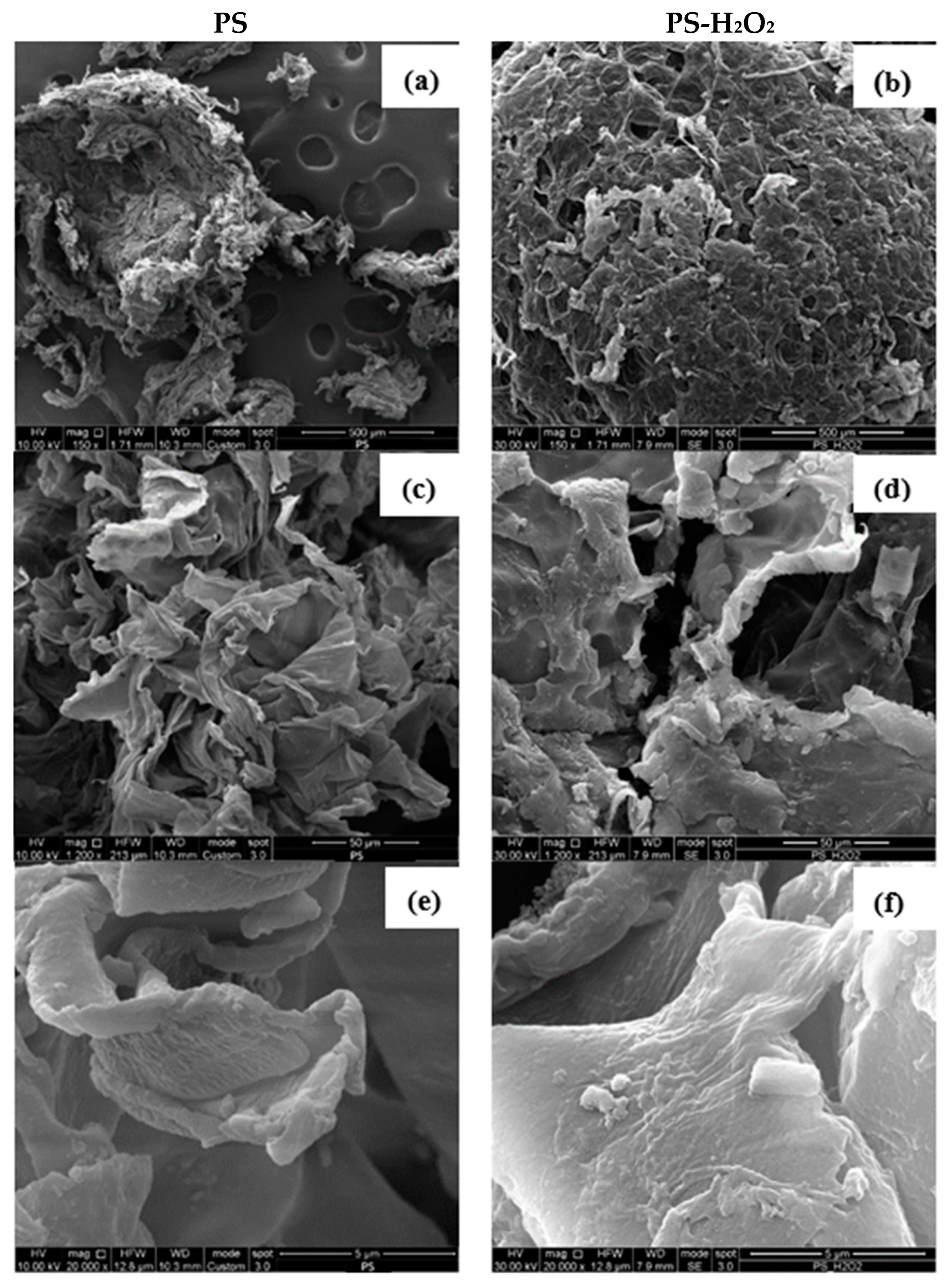 Polymers 16 01404 g007