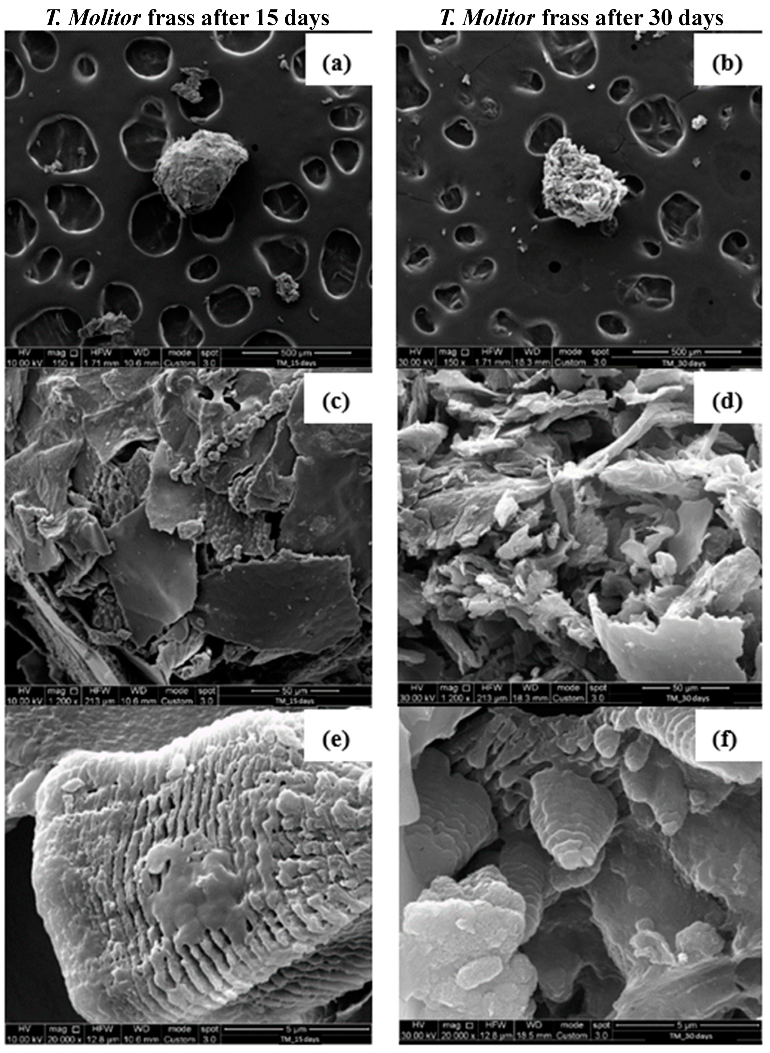 Polymers 16 01404 g008