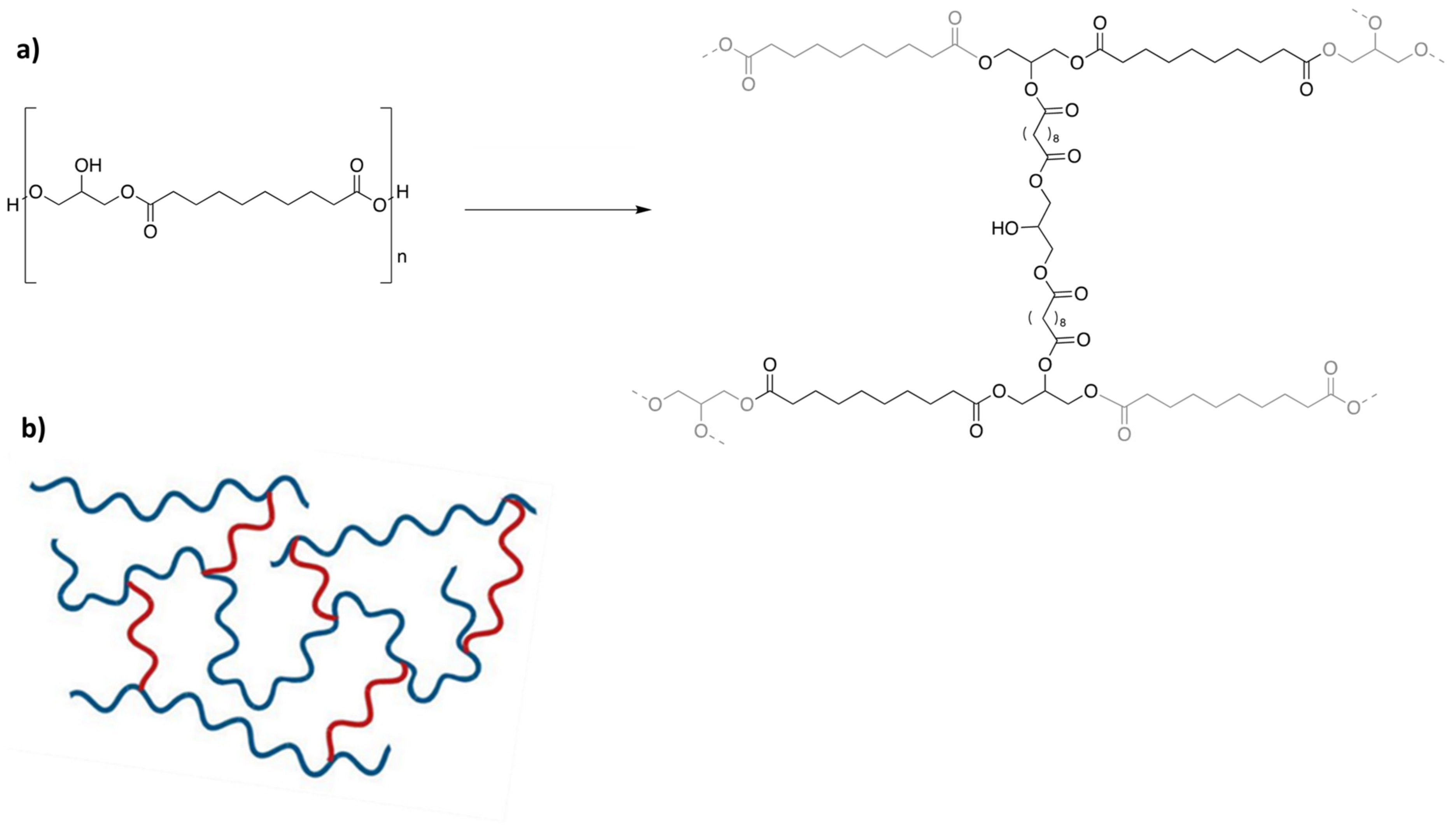 Polymers 16 01405 sch002