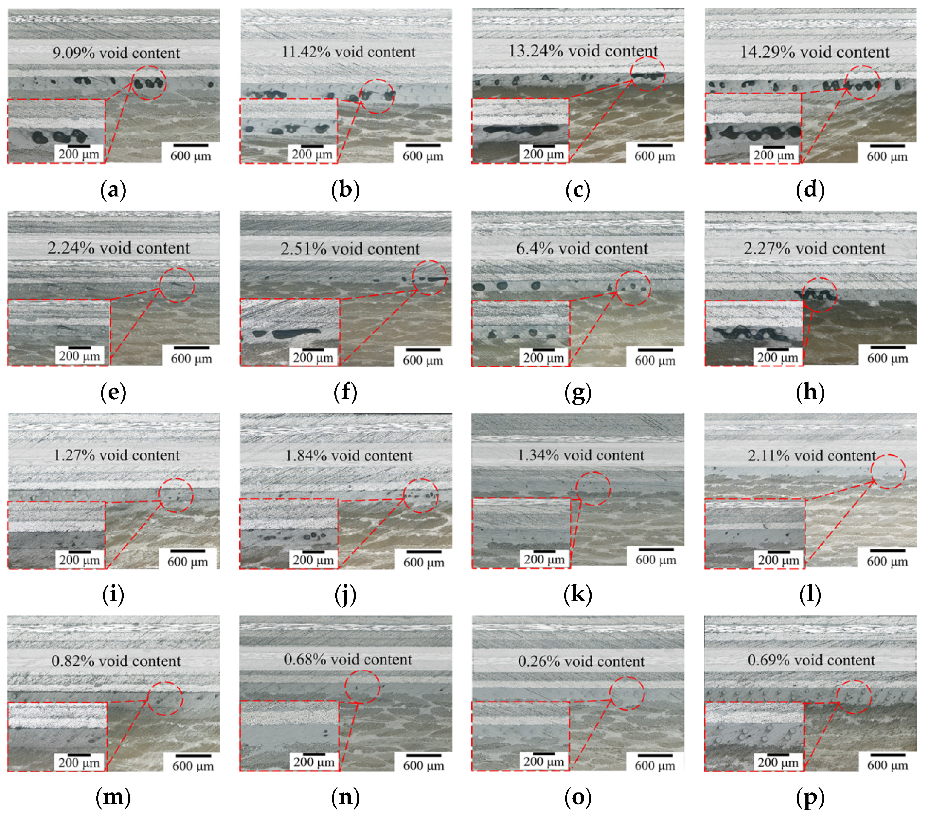 Polymers 16 01406 g010