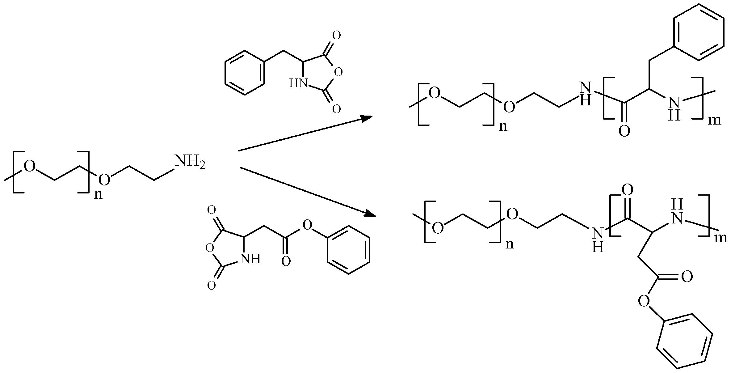 Polymers 16 01408 sch025