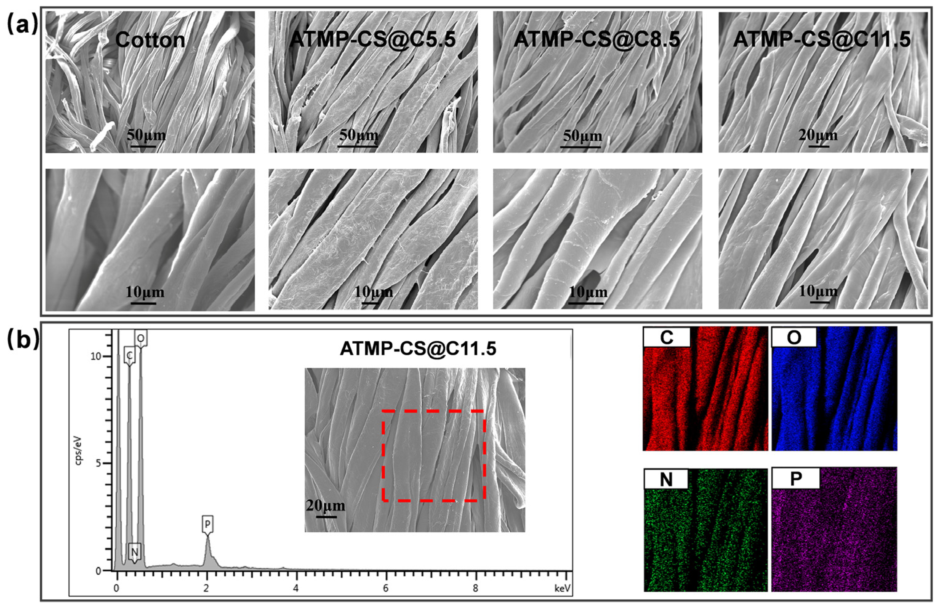 Polymers 16 01409 g003