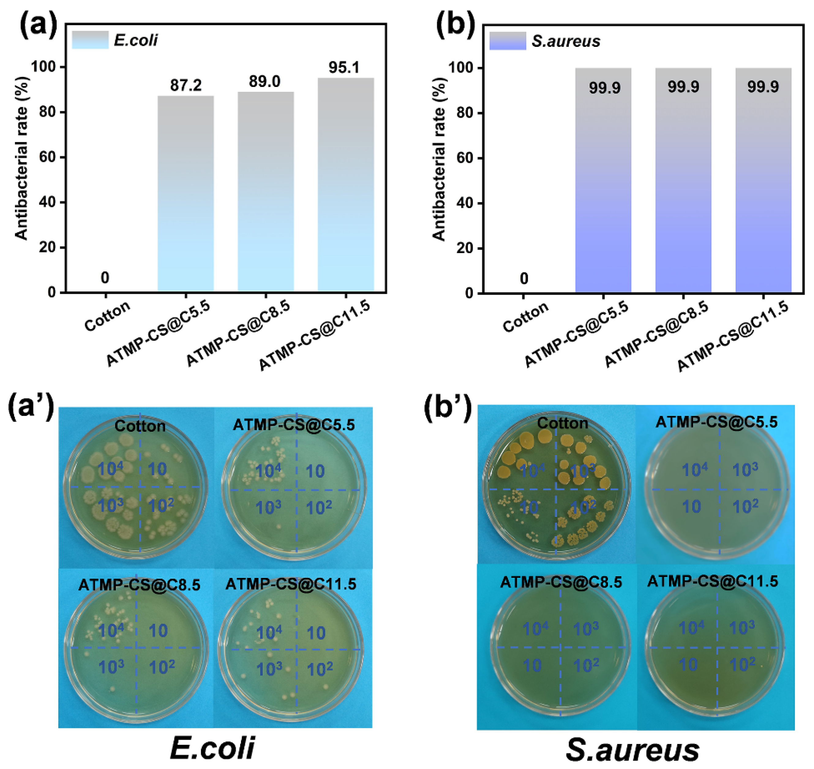 Polymers 16 01409 g010