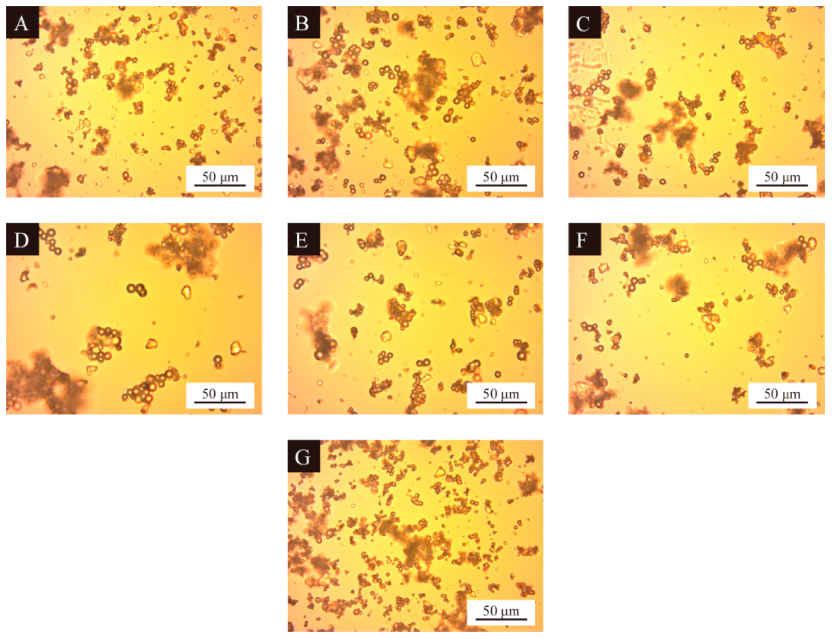 Polymers 16 01410 g005