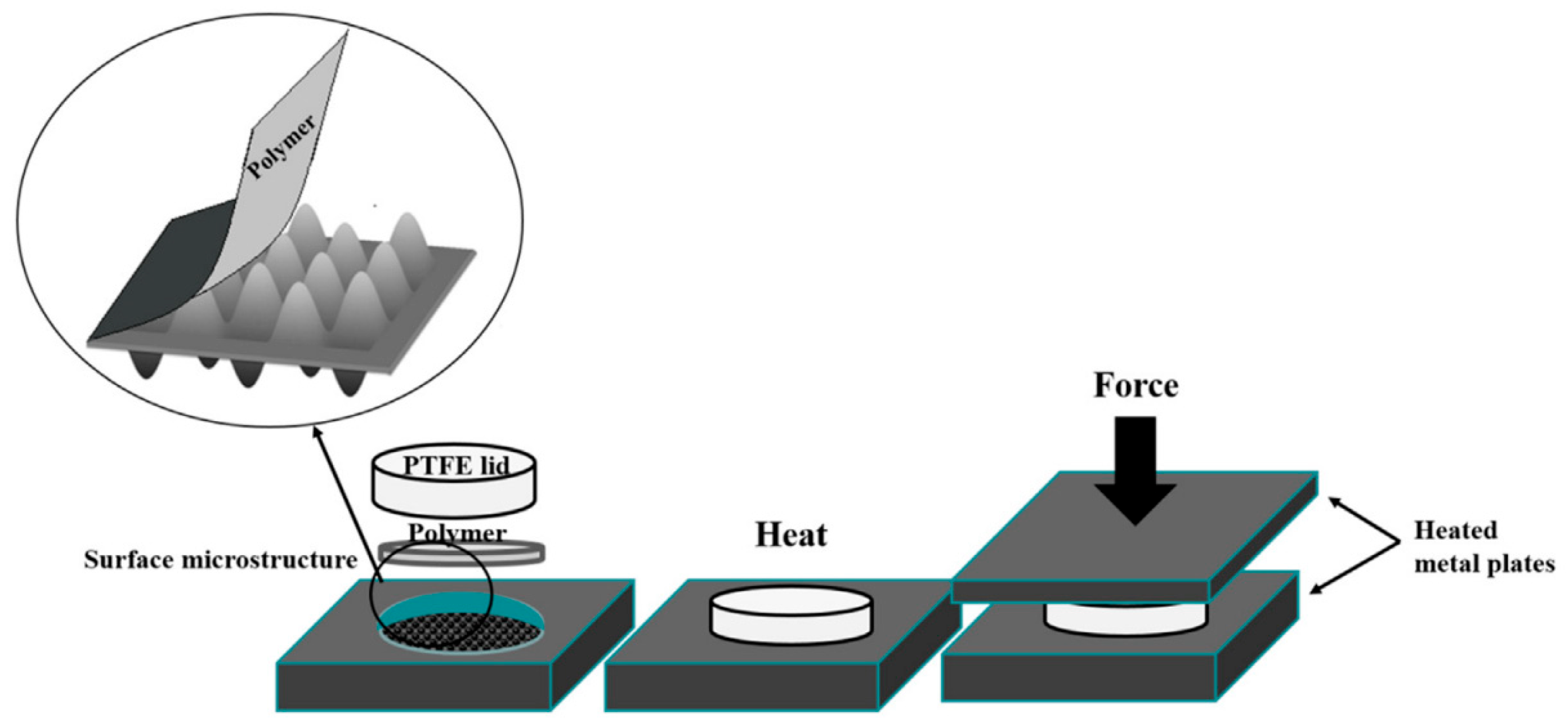 Polymers 16 01417 g001