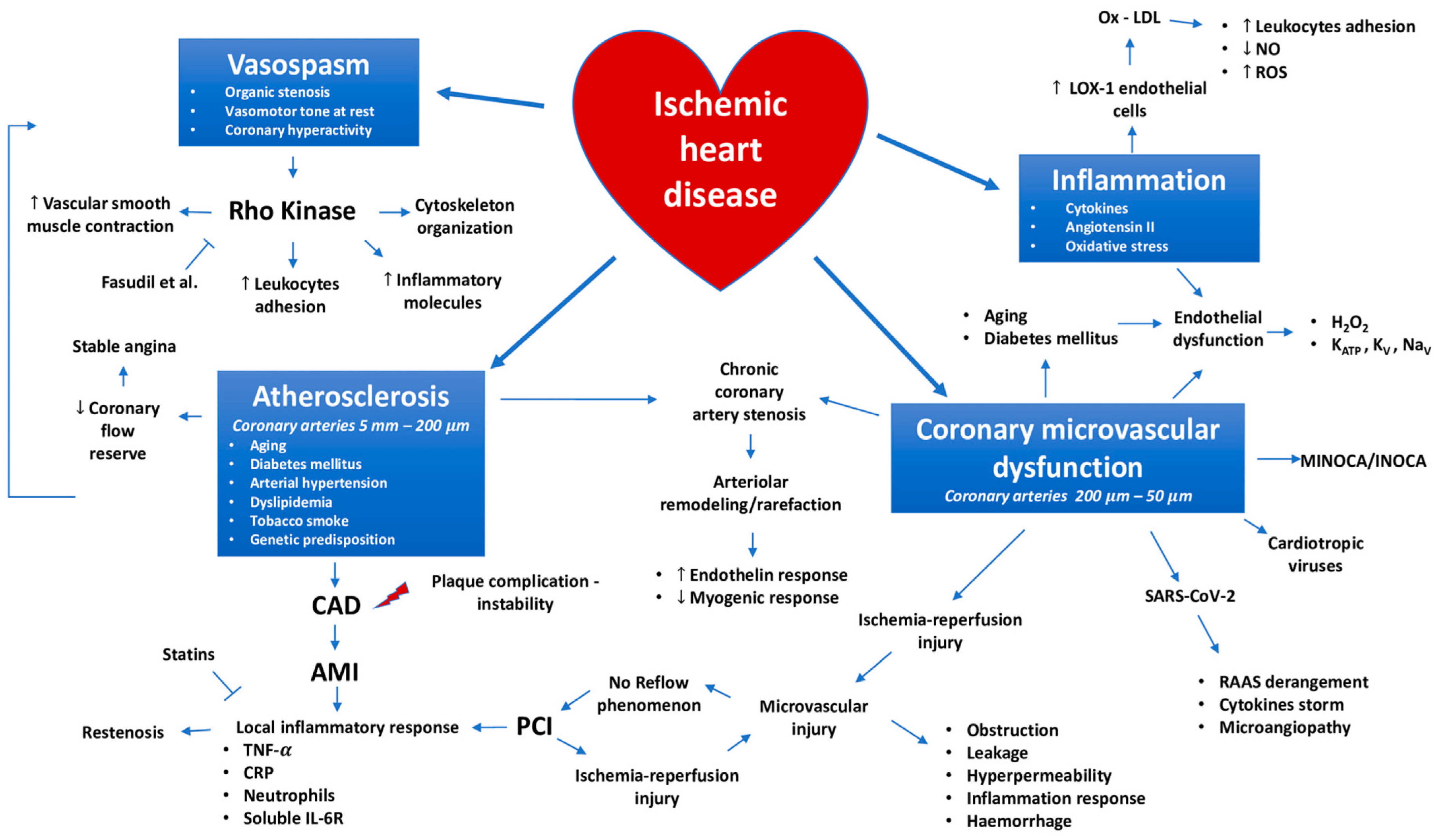 Polymers 16 01421 g001