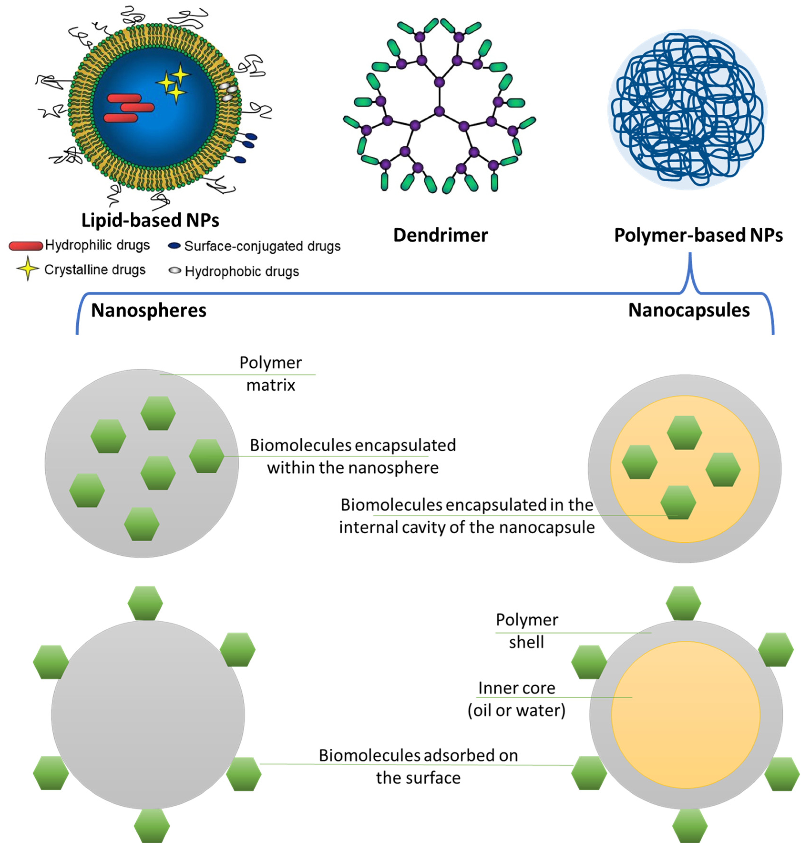 Polymers 16 01421 g002