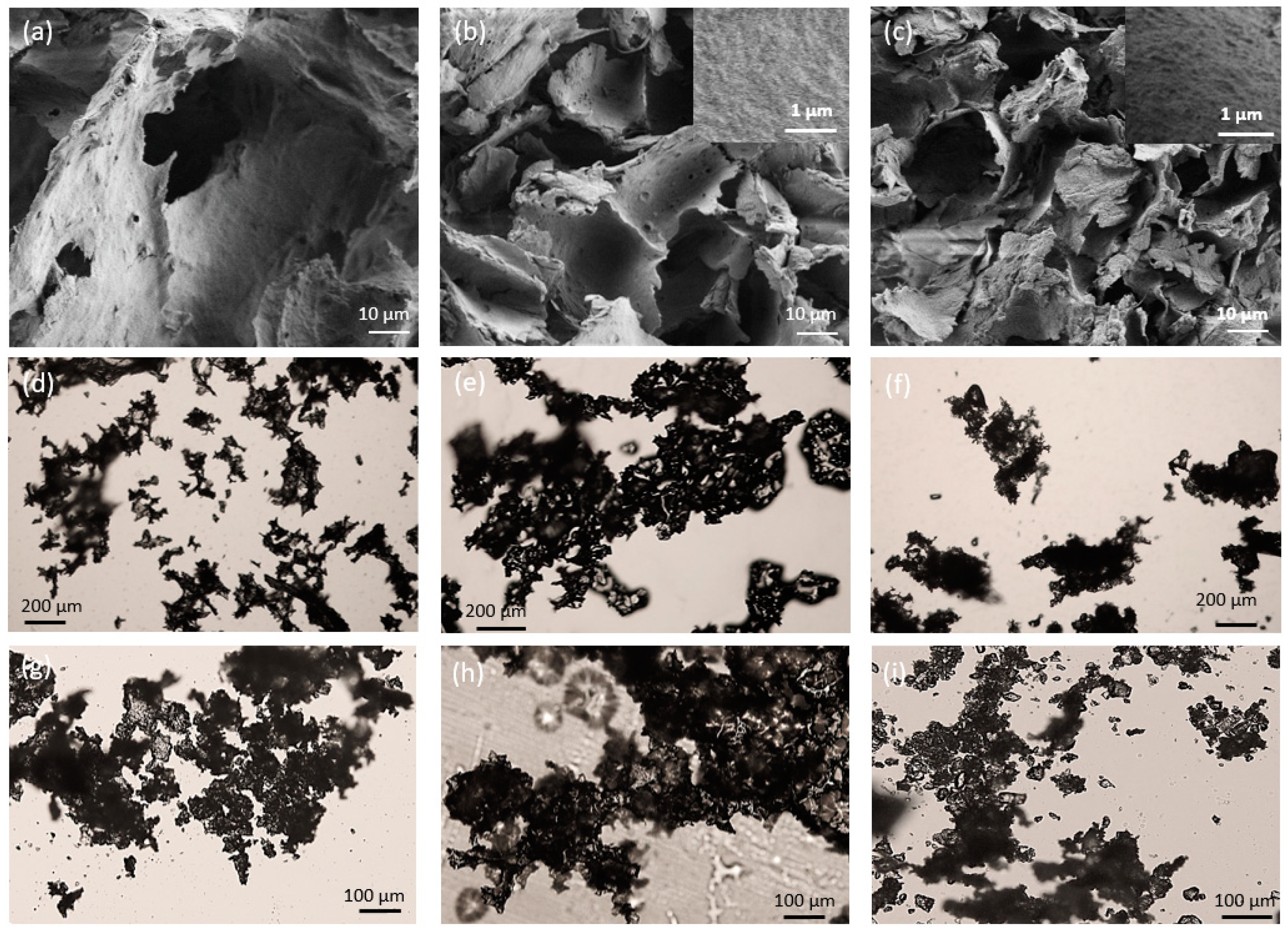 Polymers 16 01422 g001