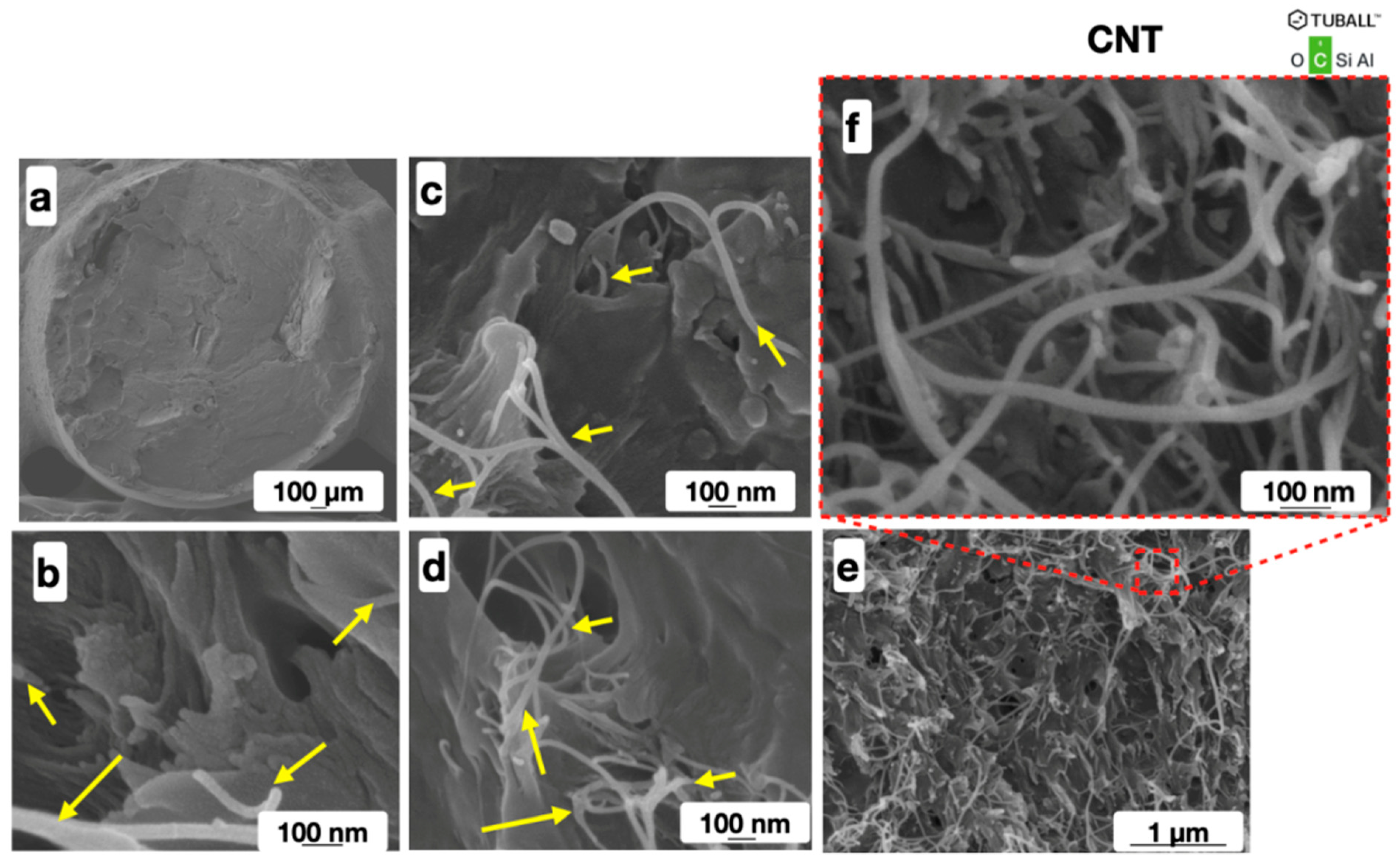 Polymers 16 01423 g005