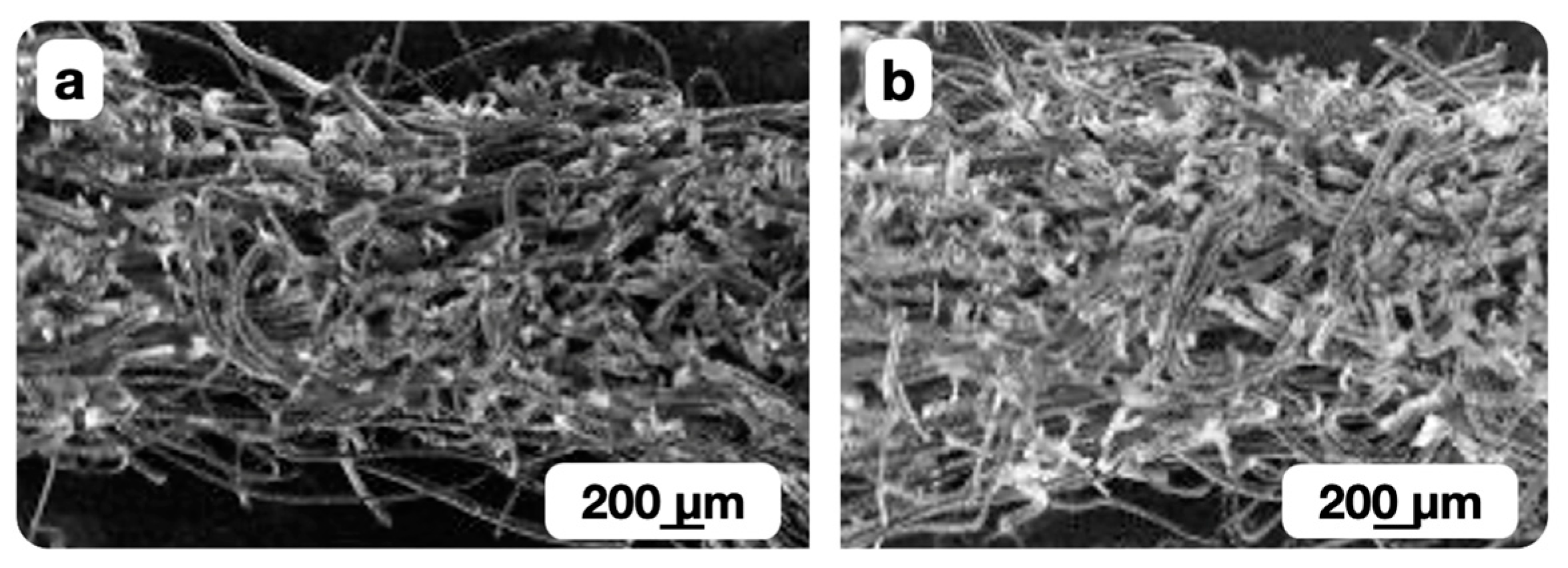 Polymers 16 01424 g008