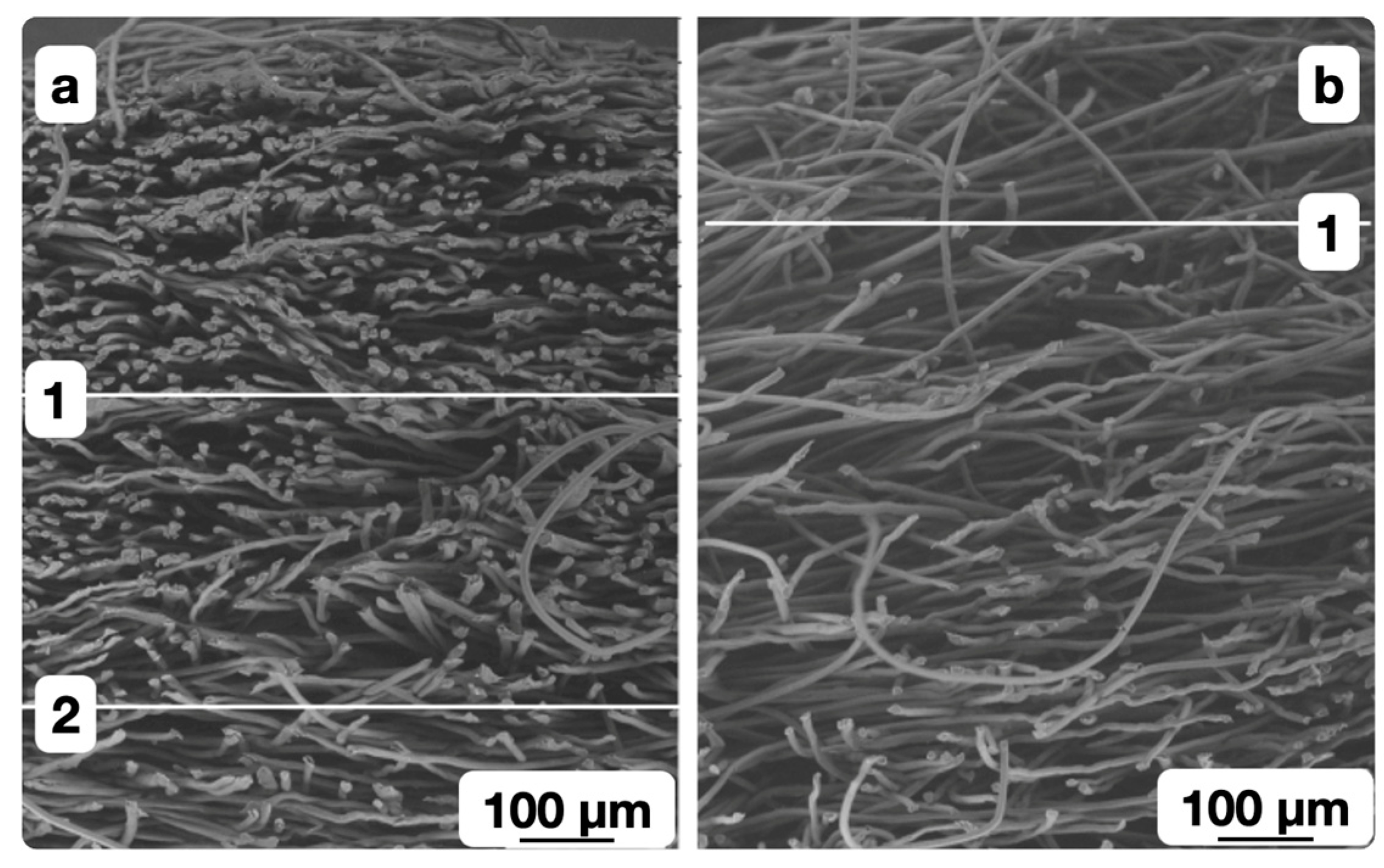Polymers 16 01424 g009
