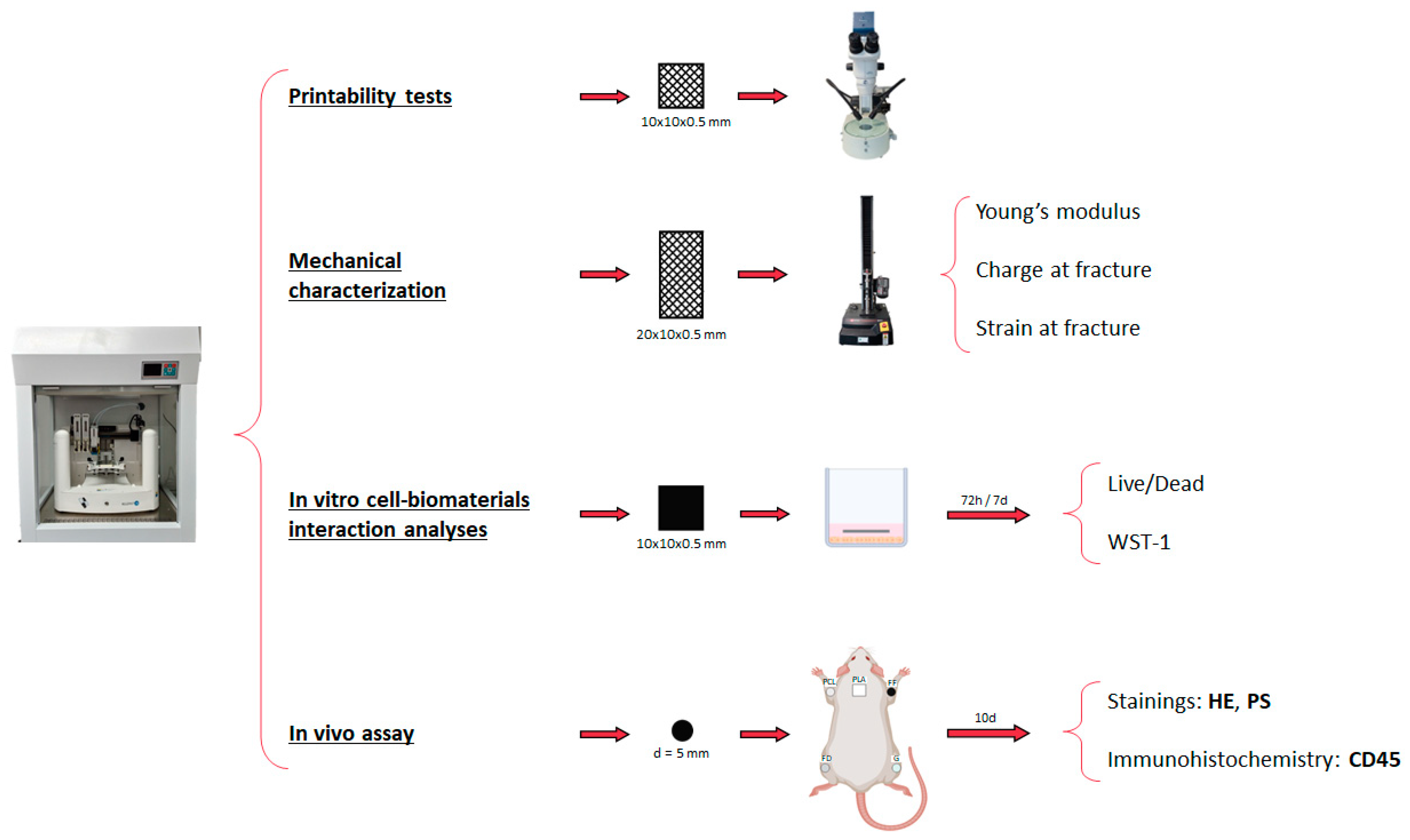Polymers 16 01426 g002