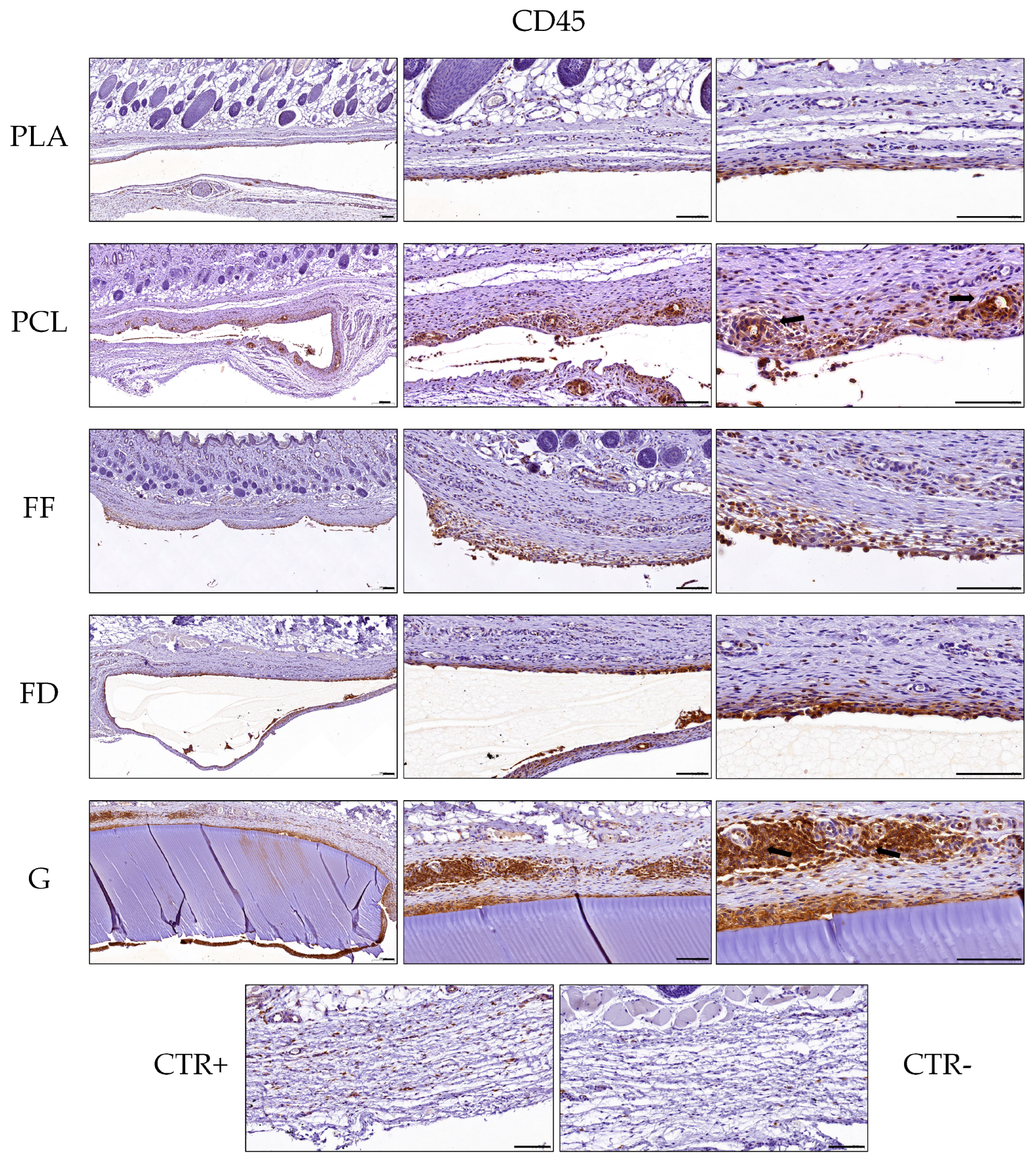 Polymers 16 01426 g007