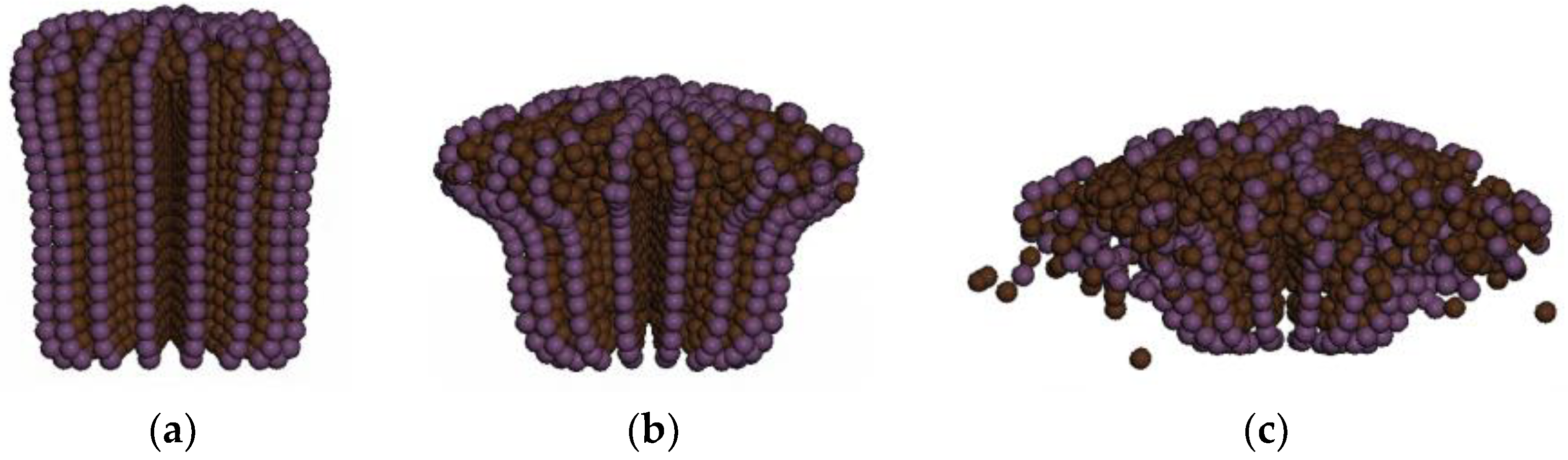Polymers 16 01427 g024
