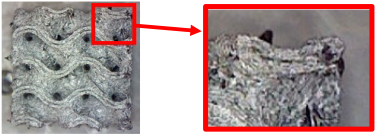 Polymers 16 01429 i022