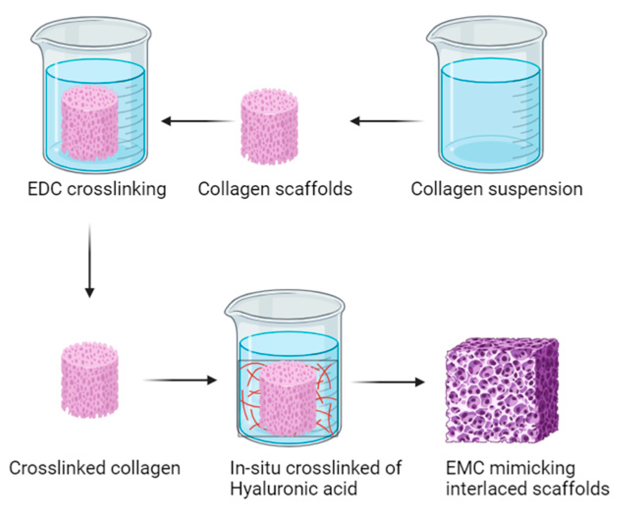 Polymers 16 01434 g013