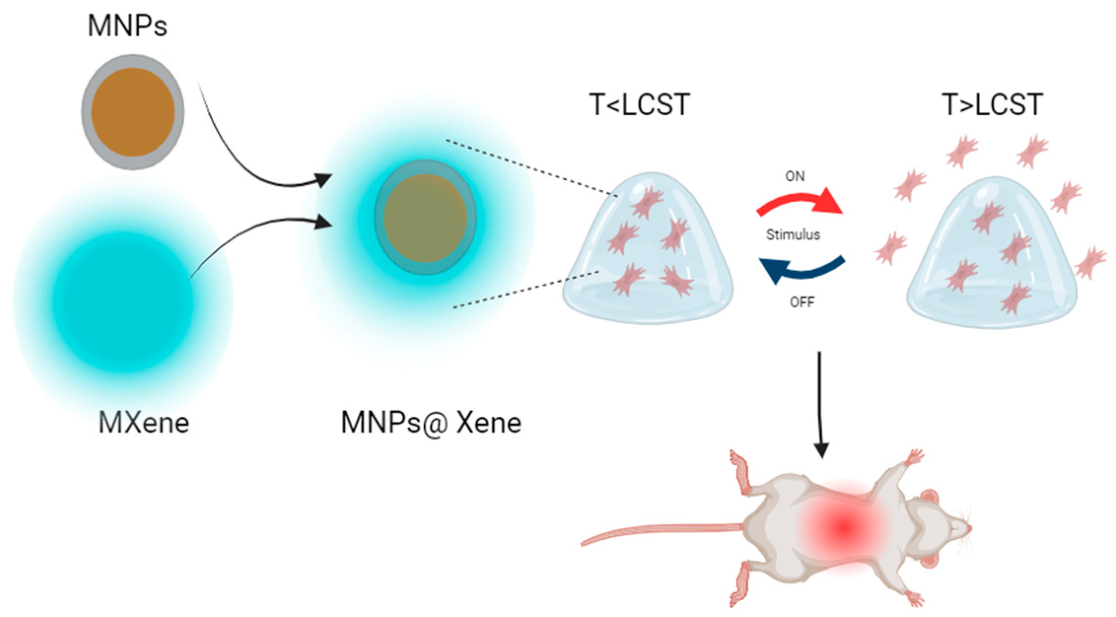 Polymers 16 01434 g015