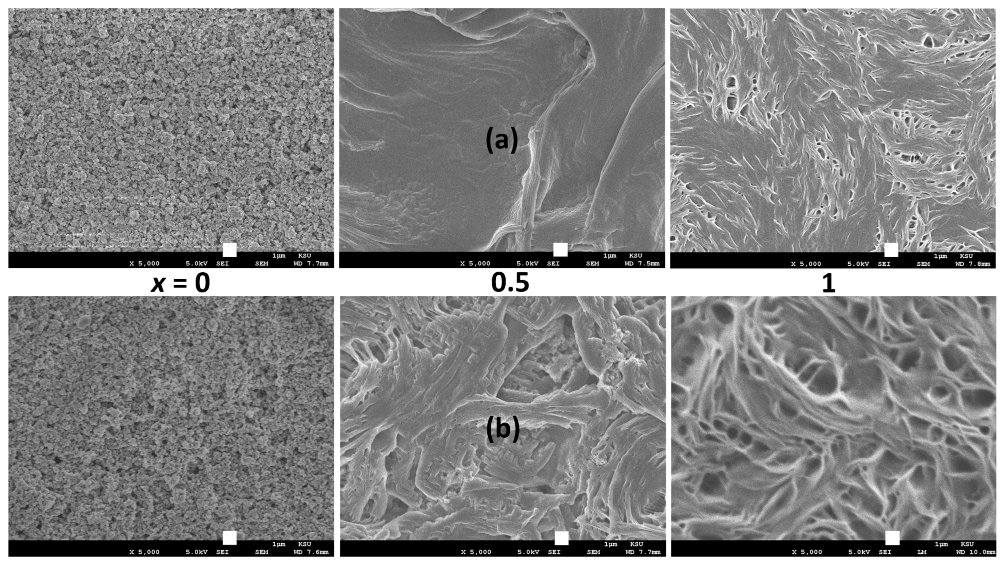 Polymers 16 01436 g008