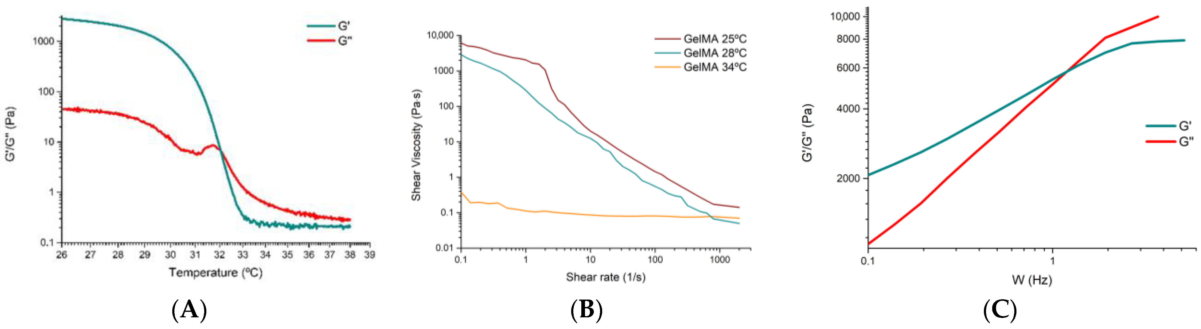 Polymers 16 01437 g003