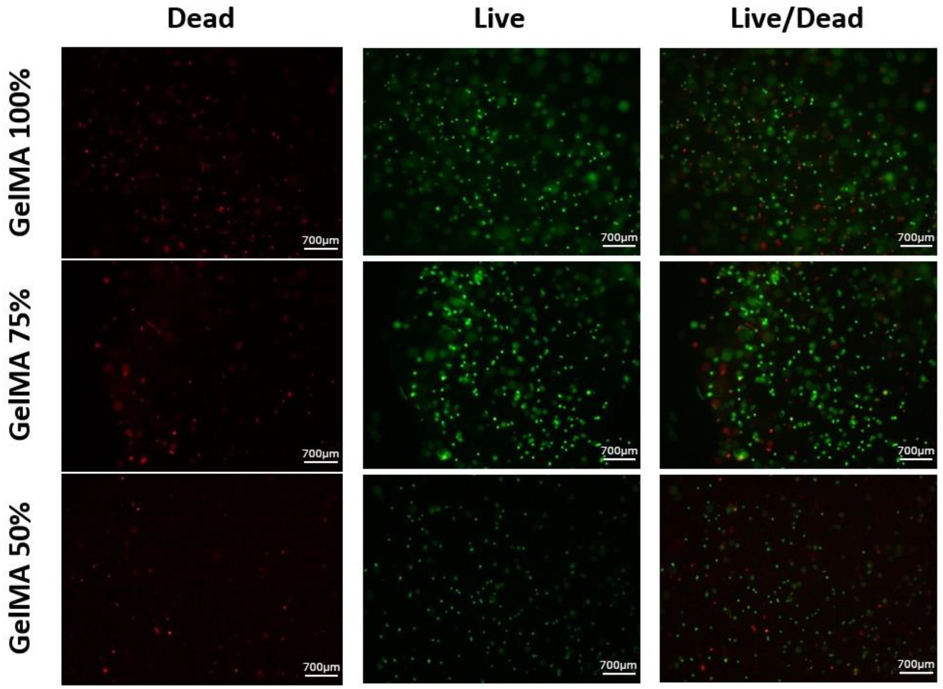 Polymers 16 01437 g010