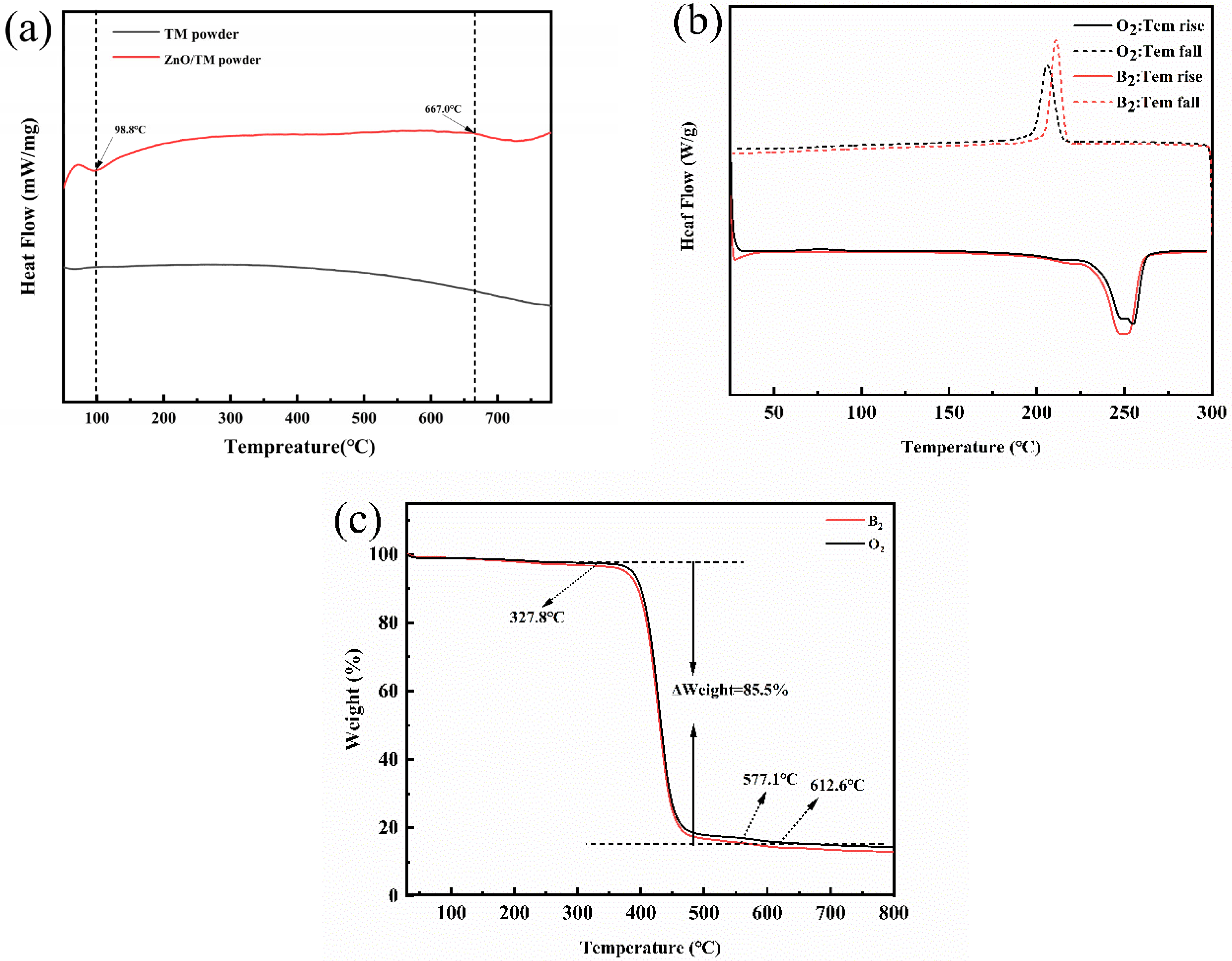 Polymers 16 01439 g010