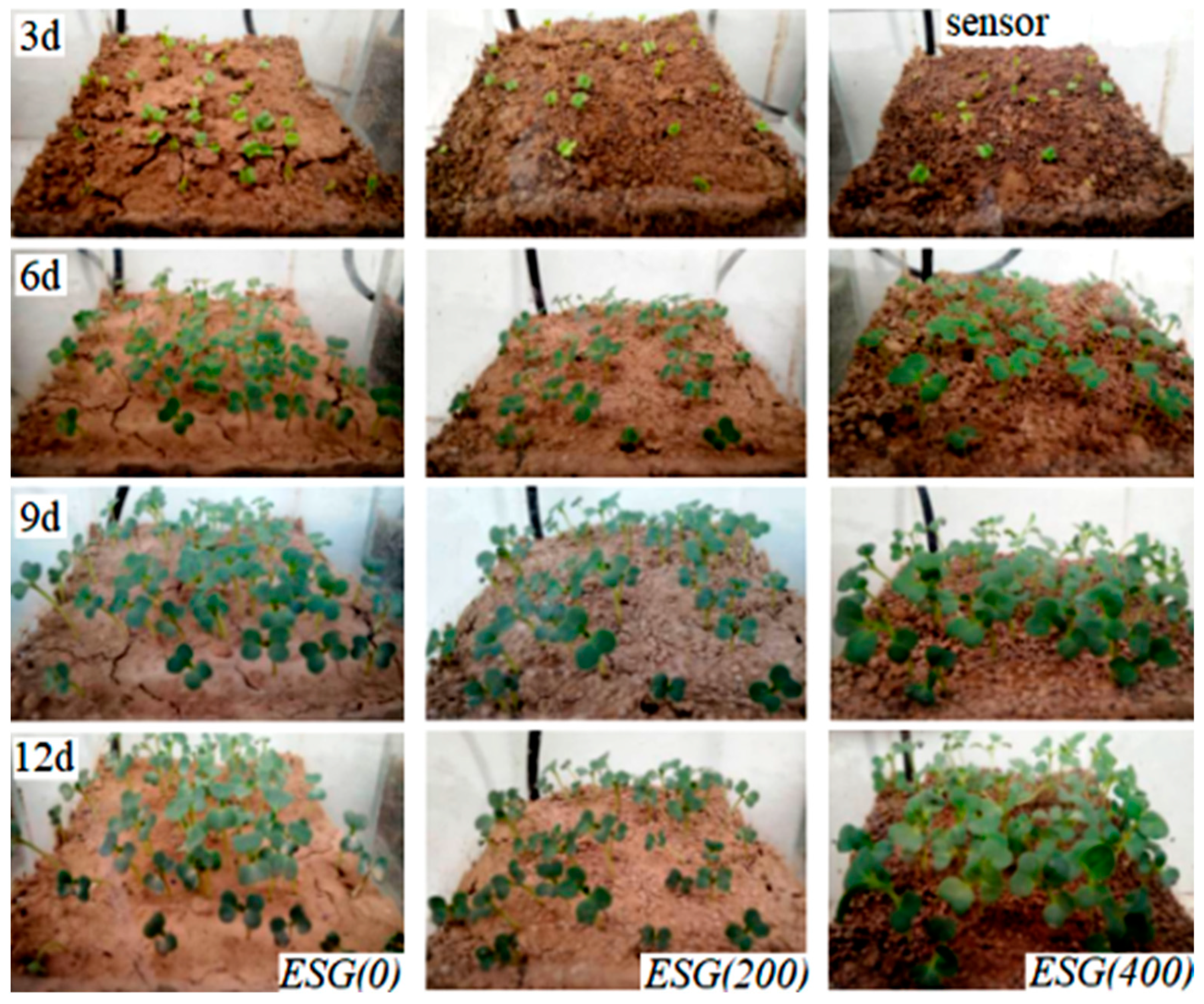 Polymers 16 01442 g011