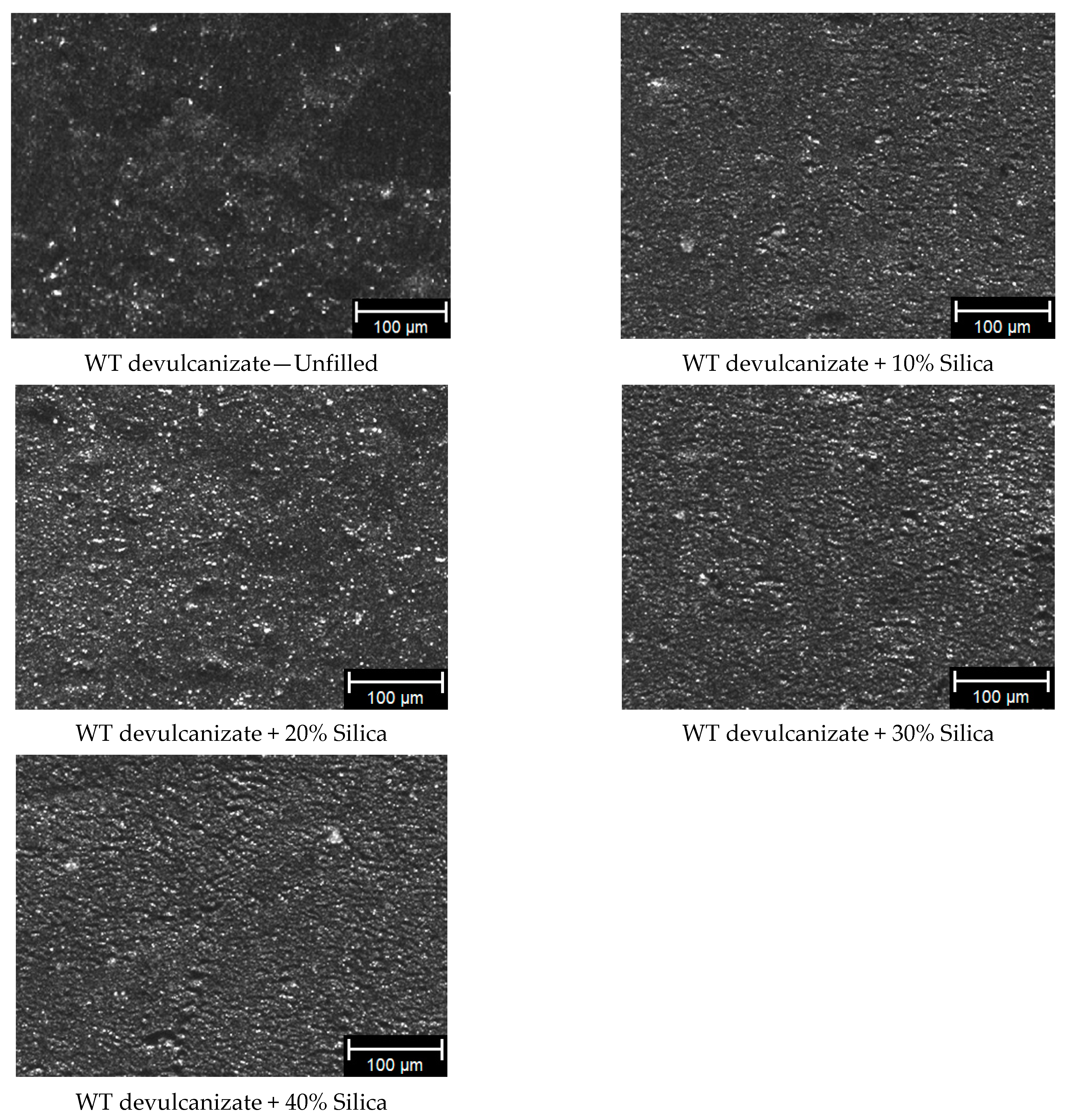 Polymers 16 01448 g004