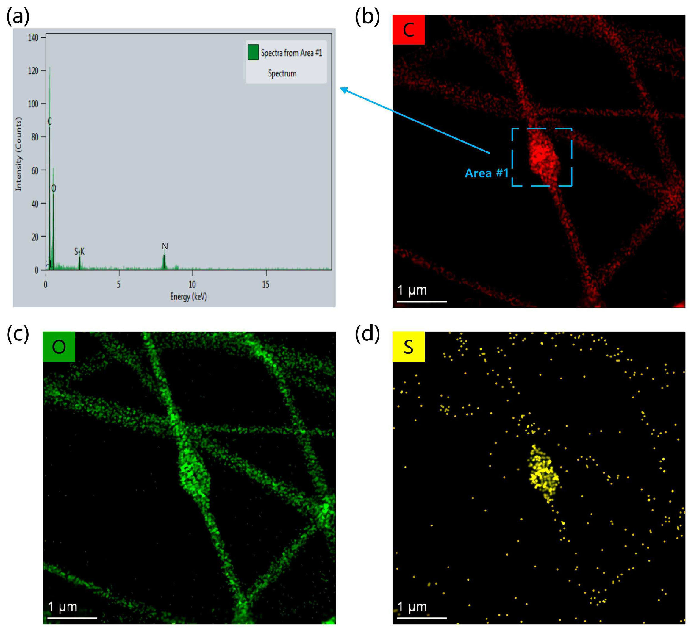 Polymers 16 01449 g004