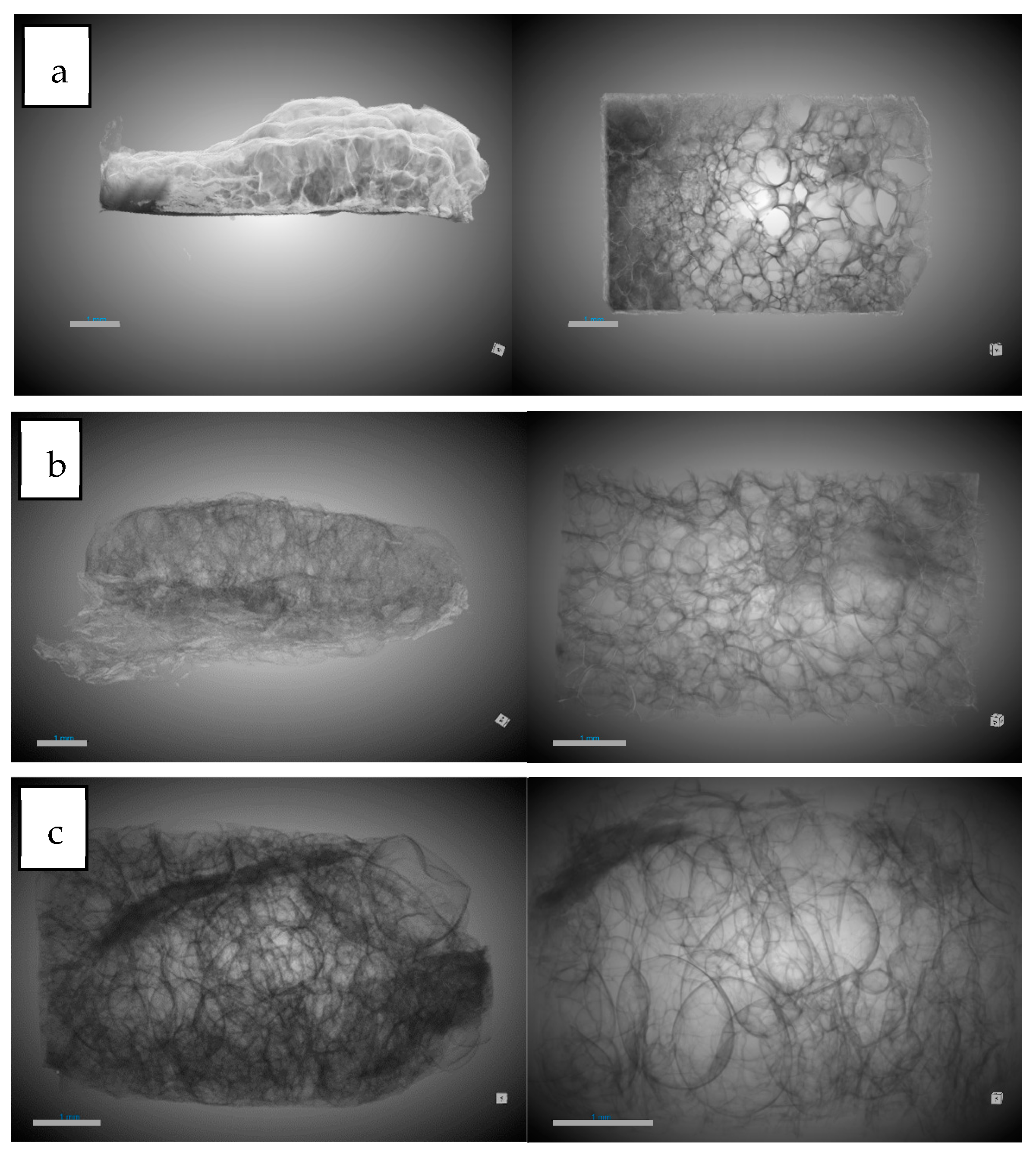 Polymers 16 01451 g007