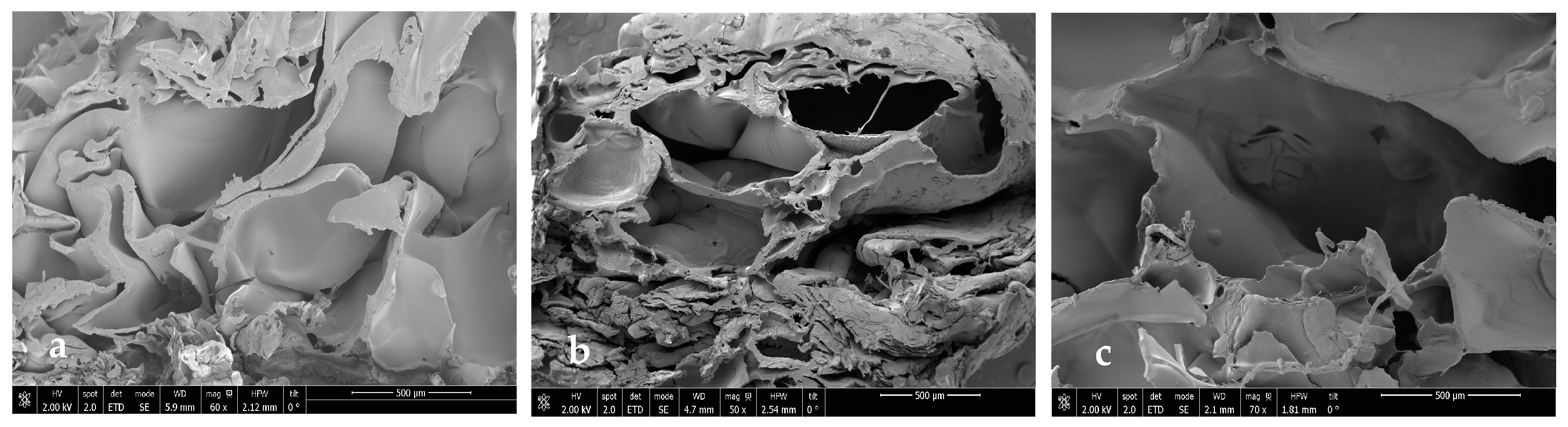 Polymers 16 01451 g014