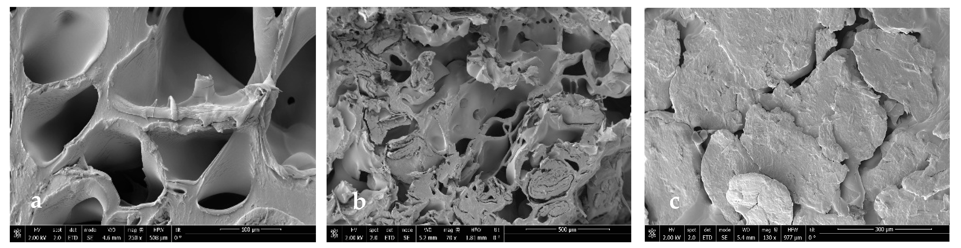 Polymers 16 01451 g015