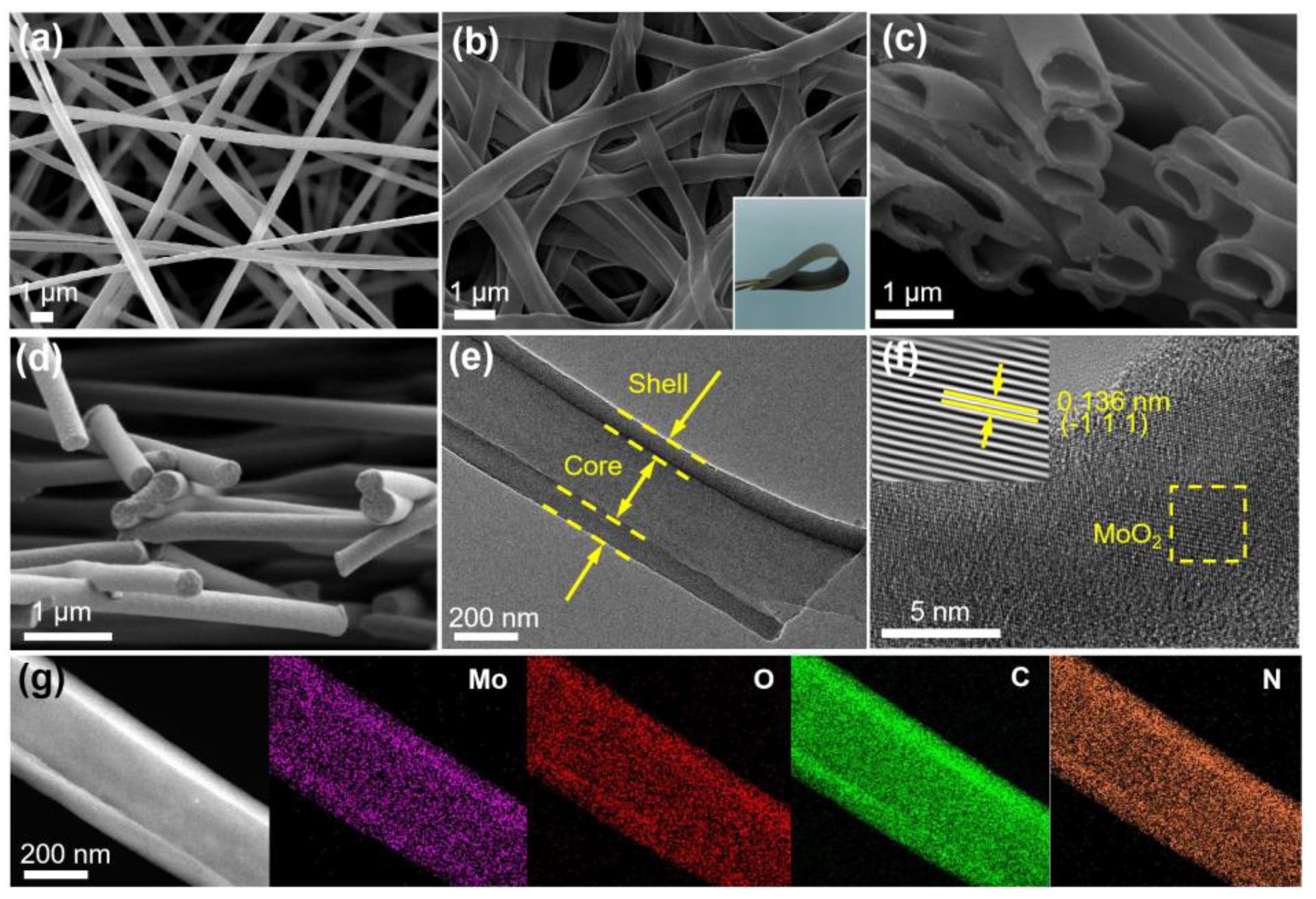 Polymers 16 01452 g002