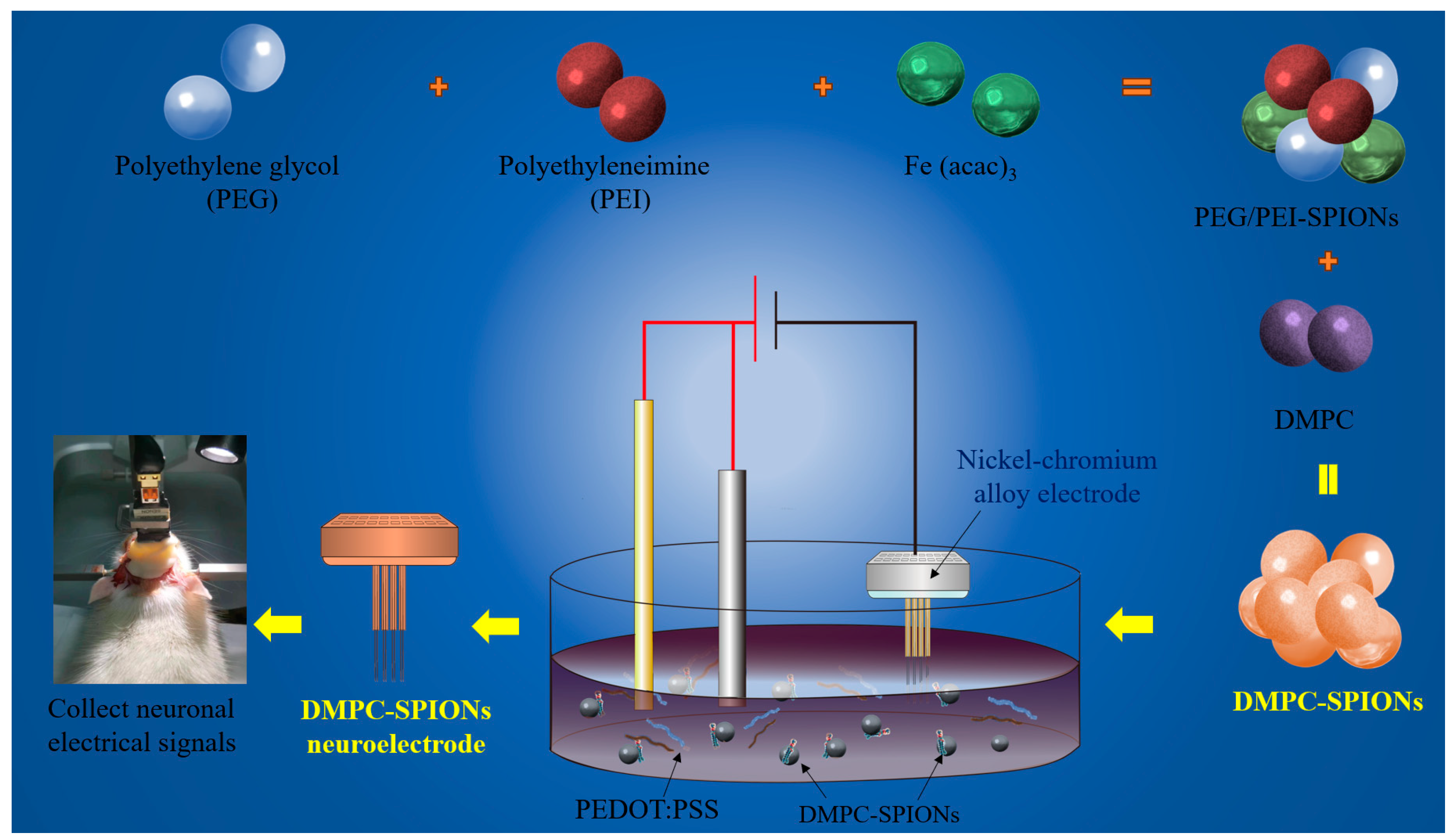 Polymers 16 01457 g001