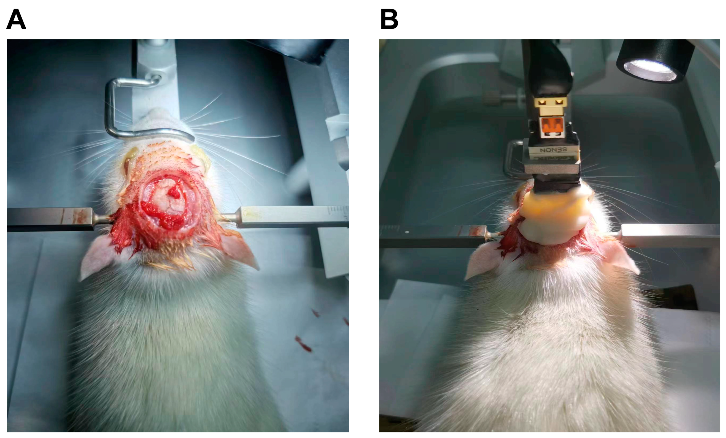 Polymers 16 01457 g002