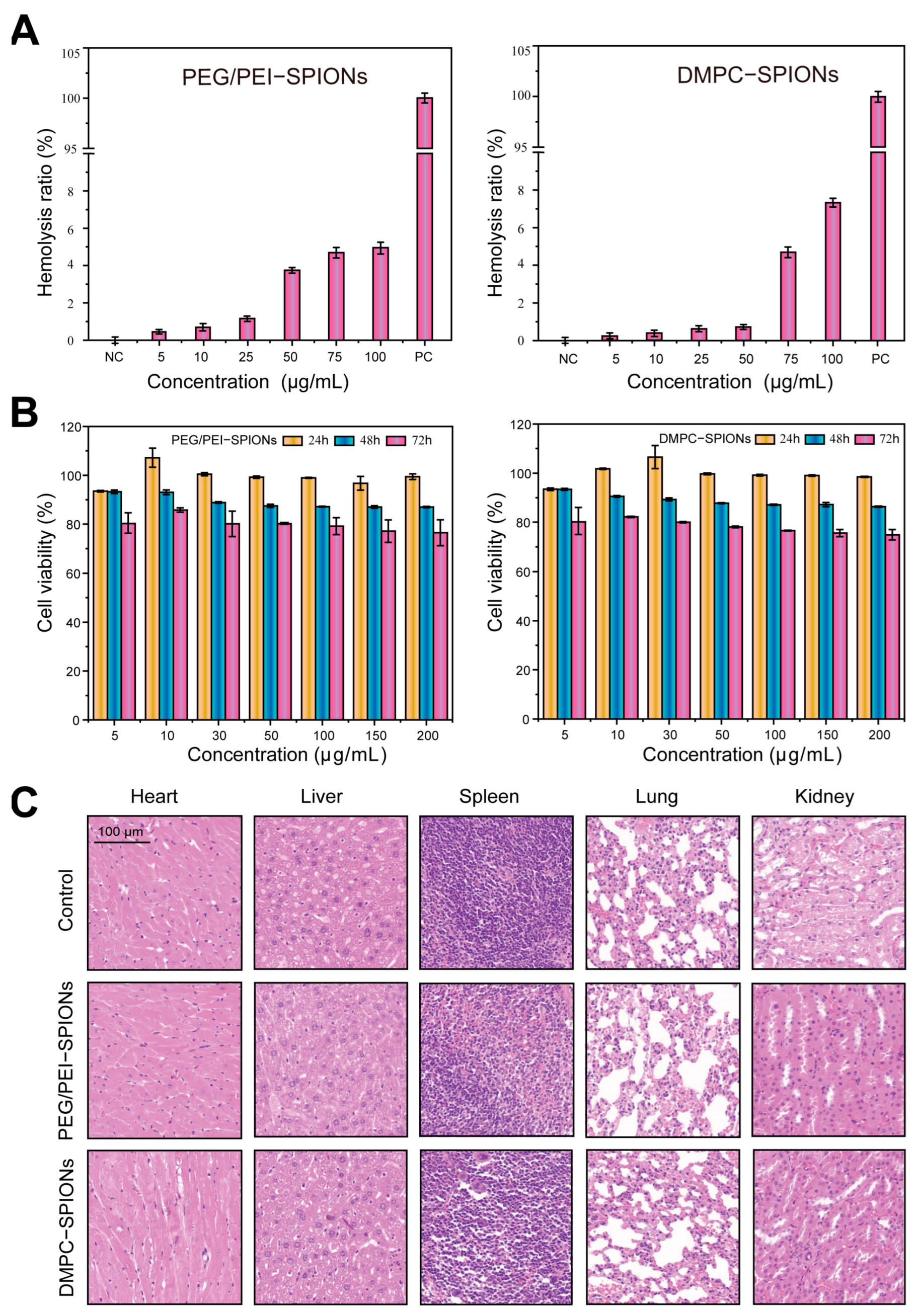 Polymers 16 01457 g005