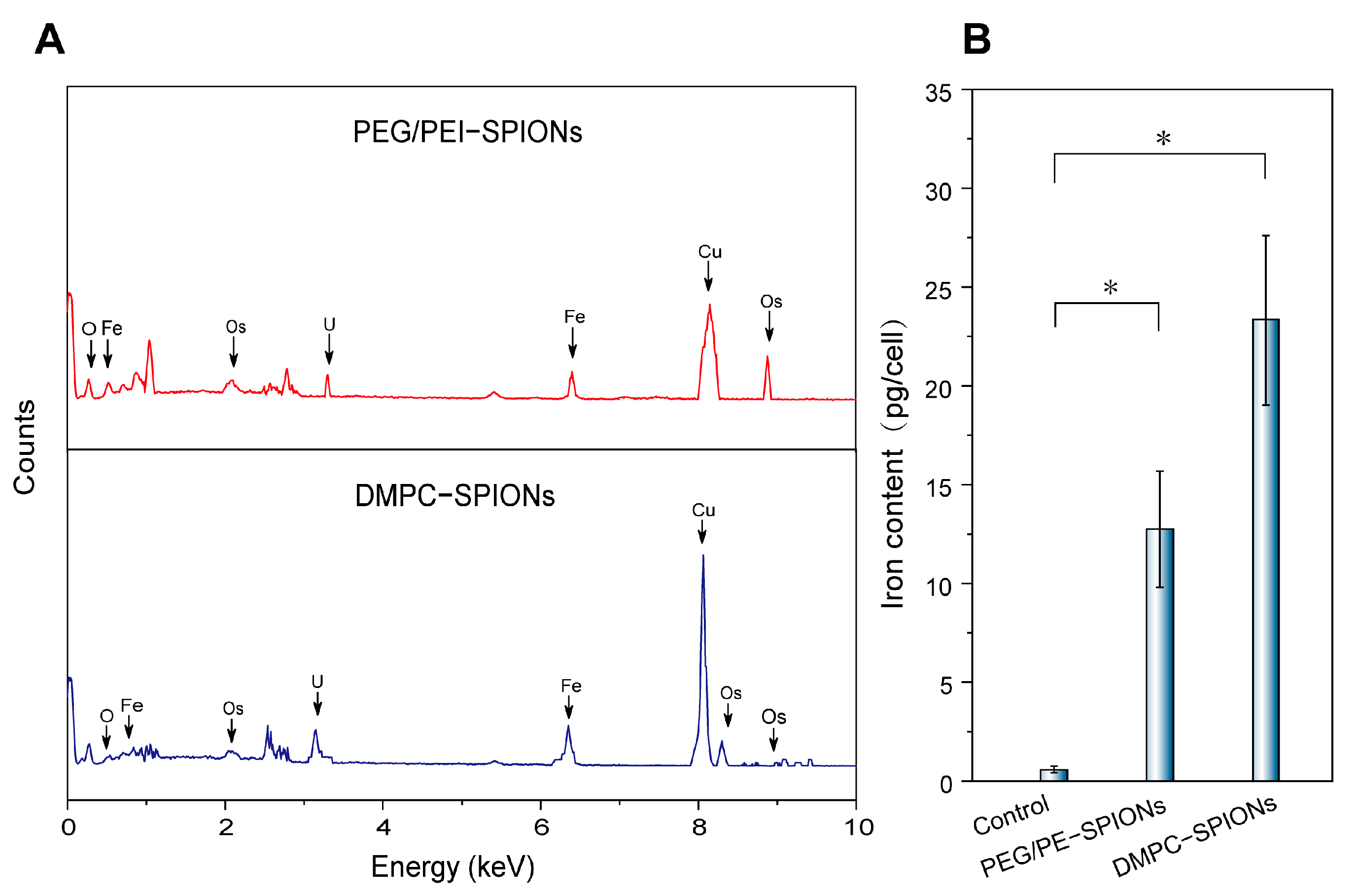 Polymers 16 01457 g007