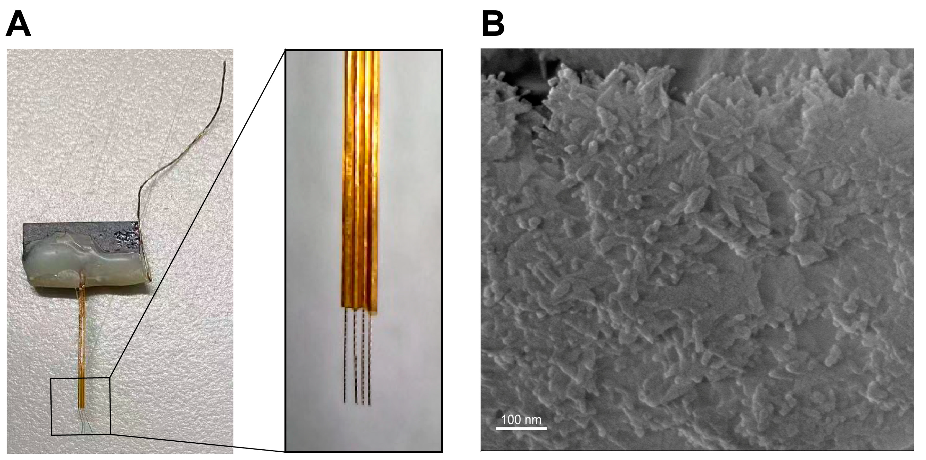 Polymers 16 01457 g009