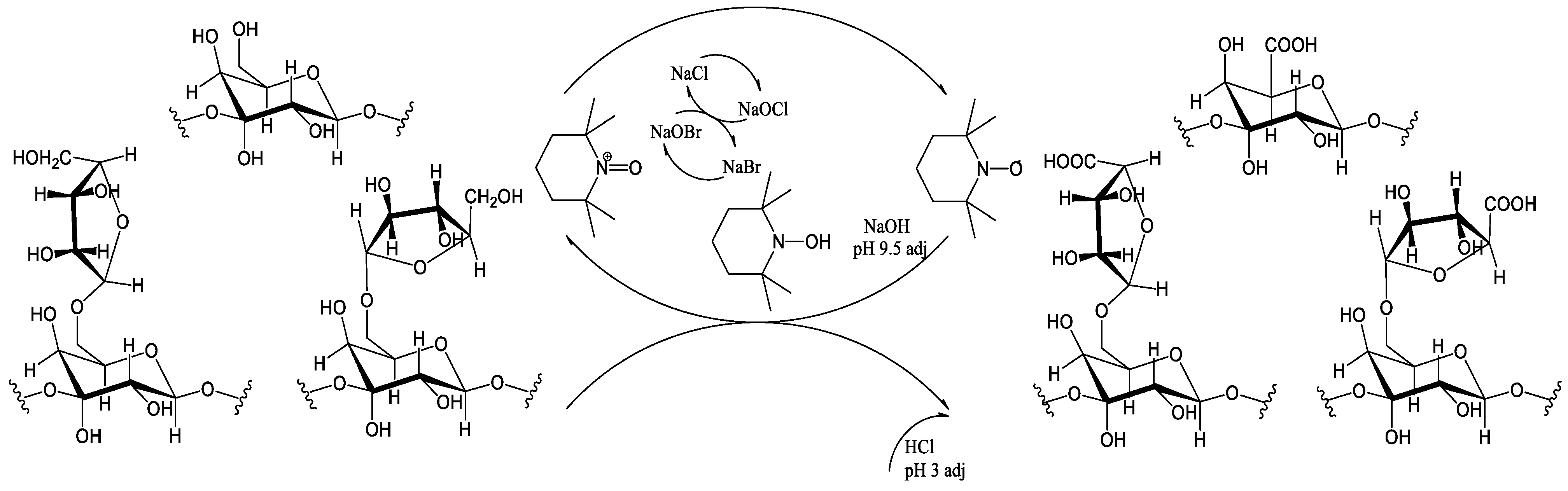 Polymers 16 01458 g002