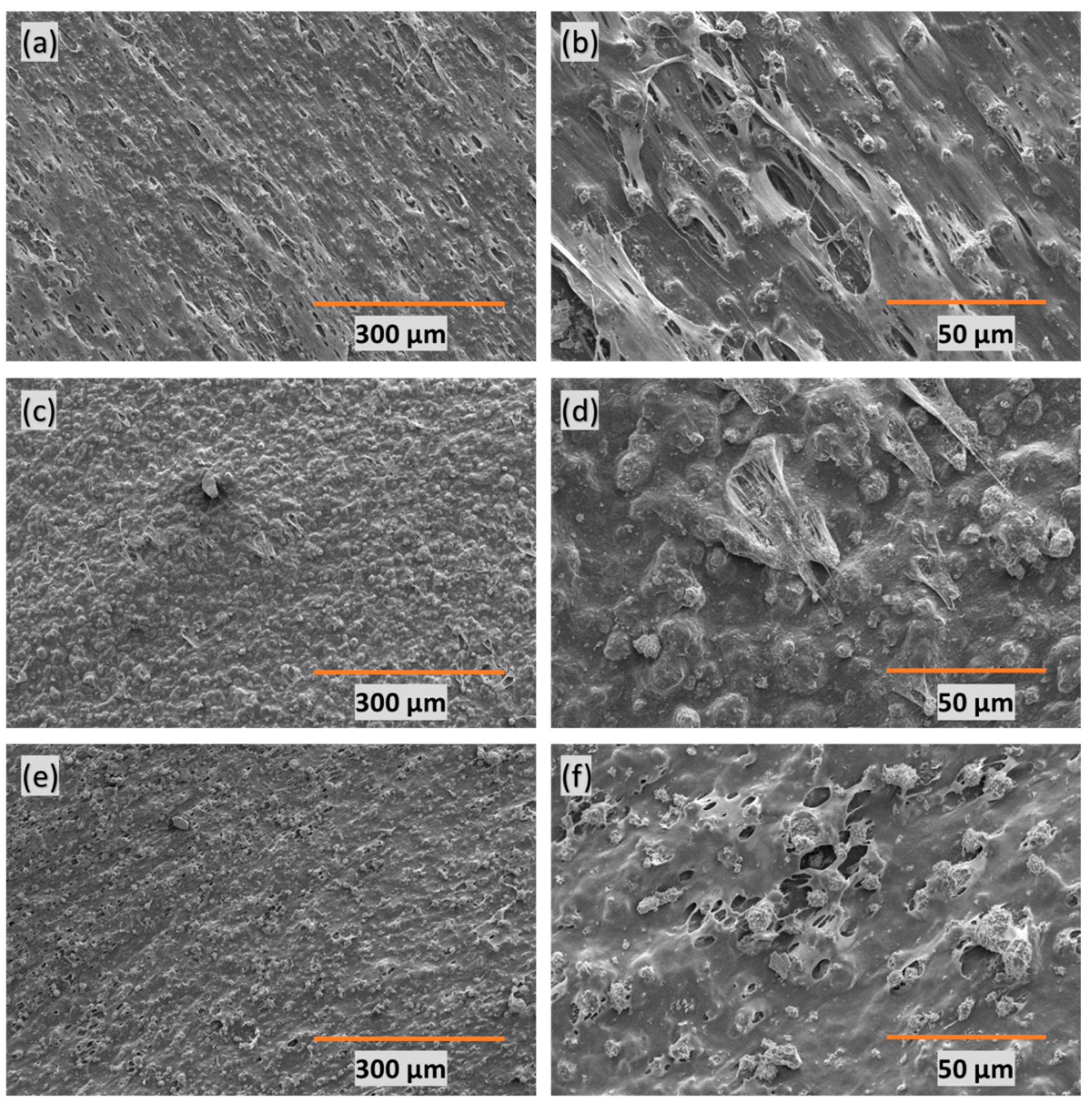 Polymers 16 01459 g001