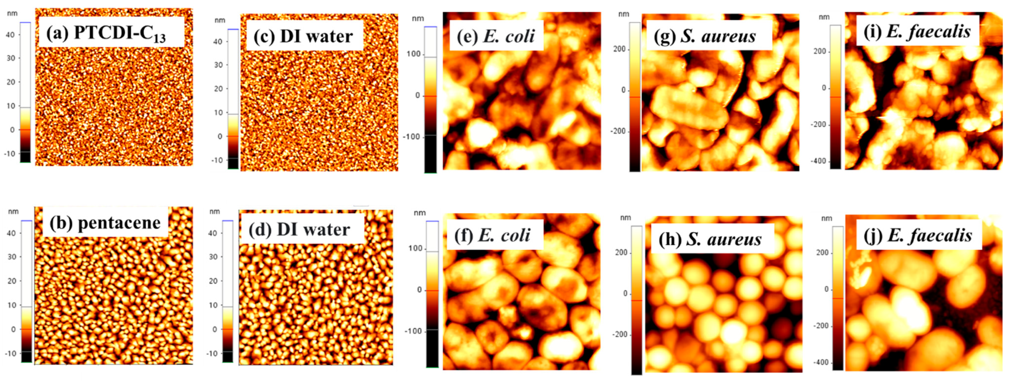 Polymers 16 01462 g002