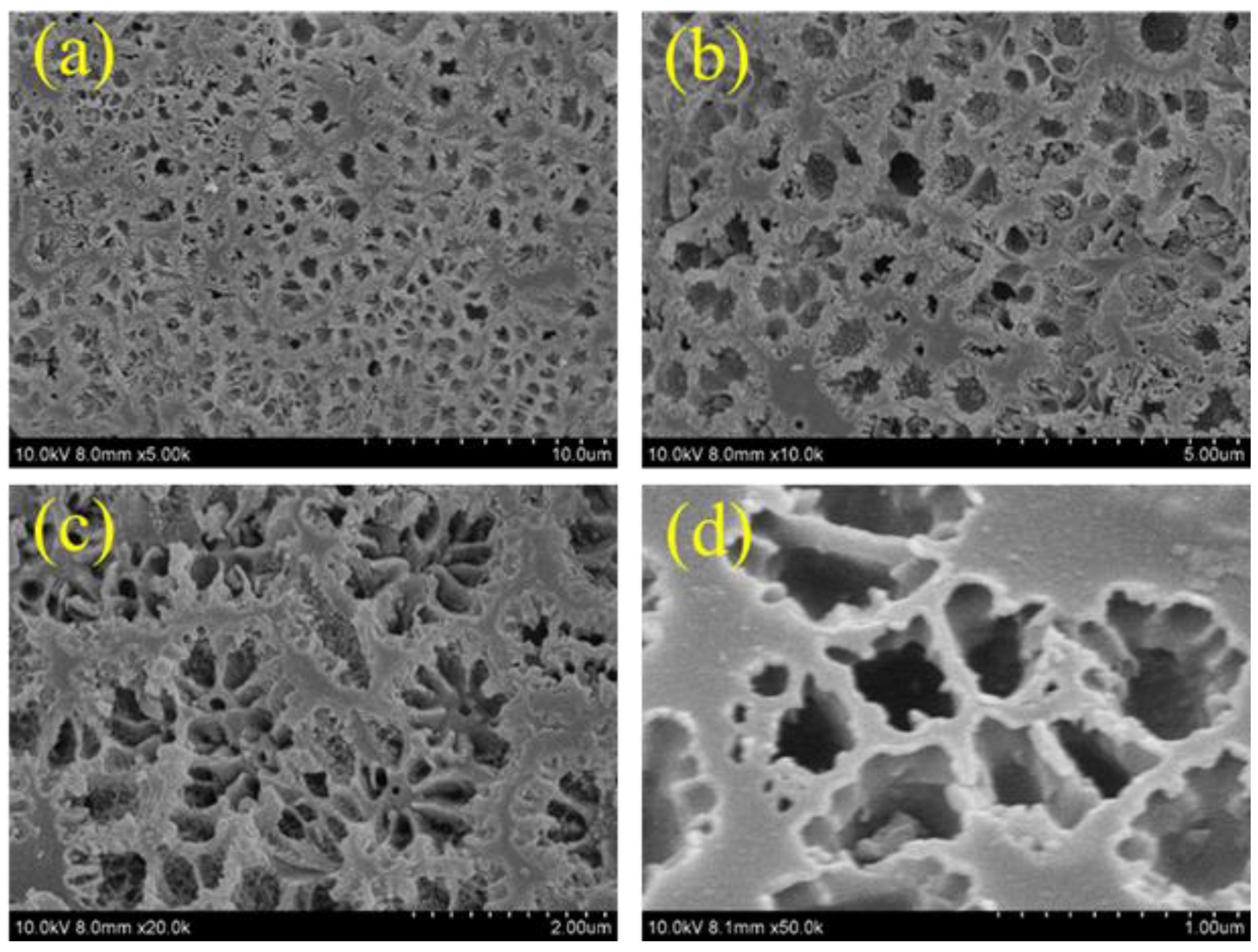 Polymers 16 01463 g003