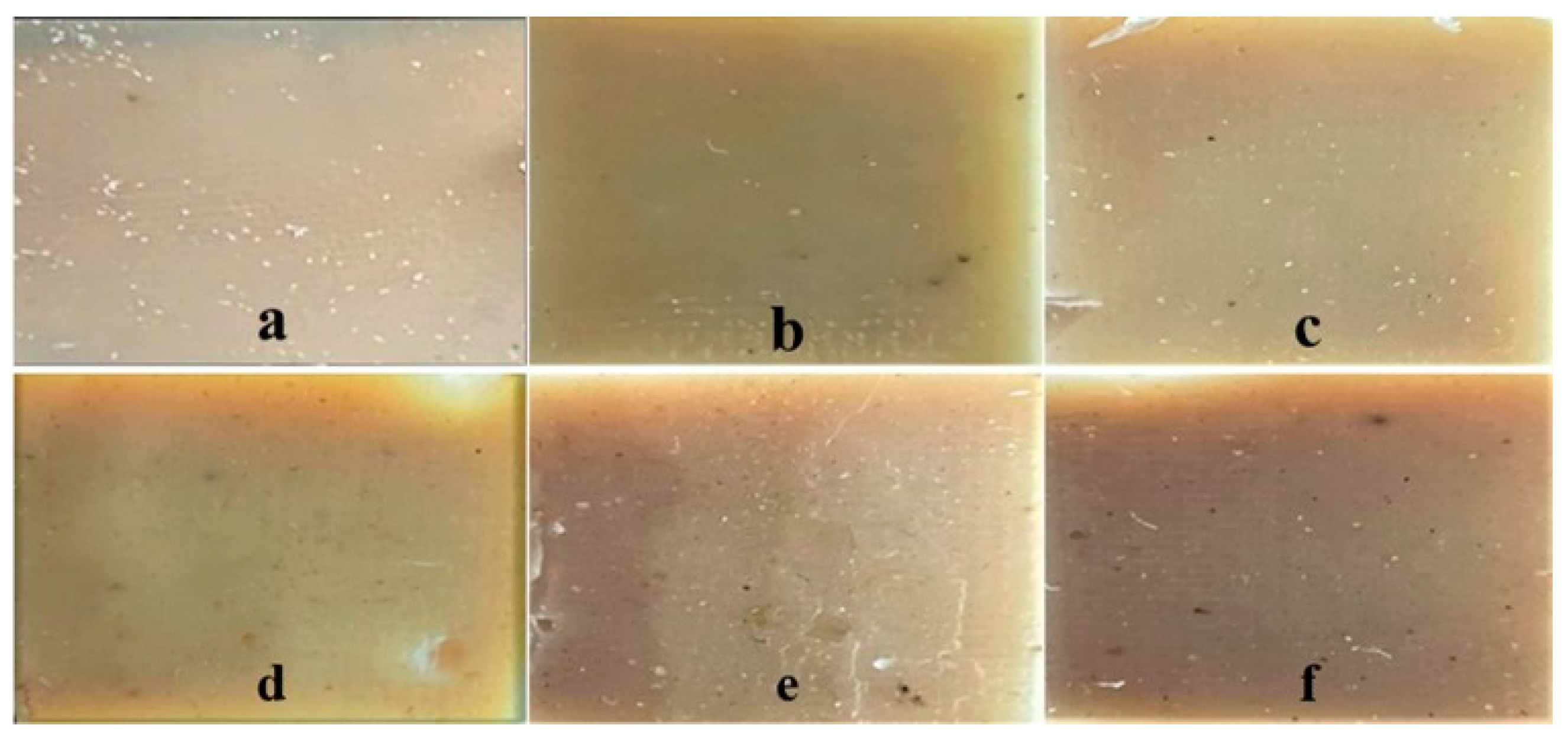 Polymers 16 01469 g001