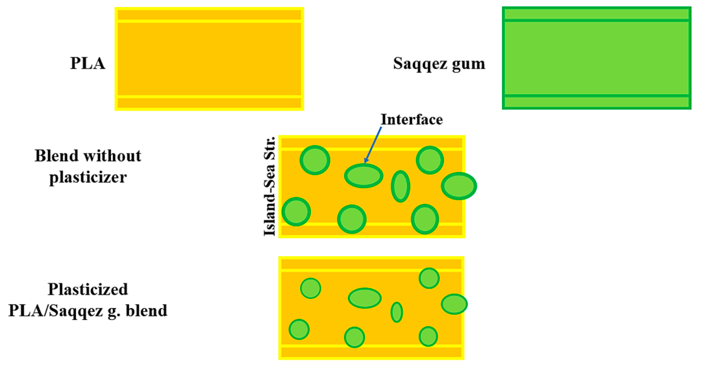 Polymers 16 01469 g003