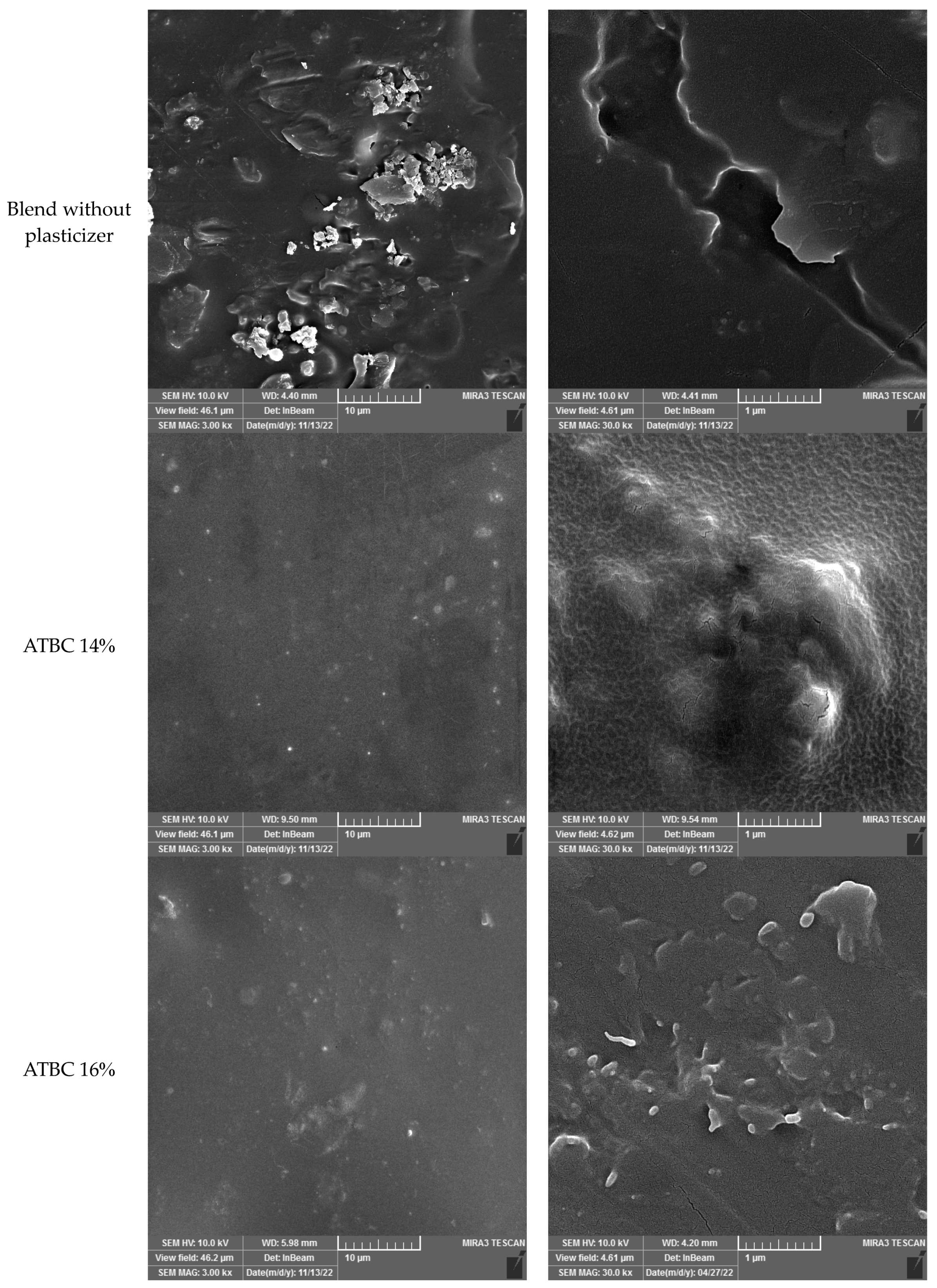 Polymers 16 01469 g004b