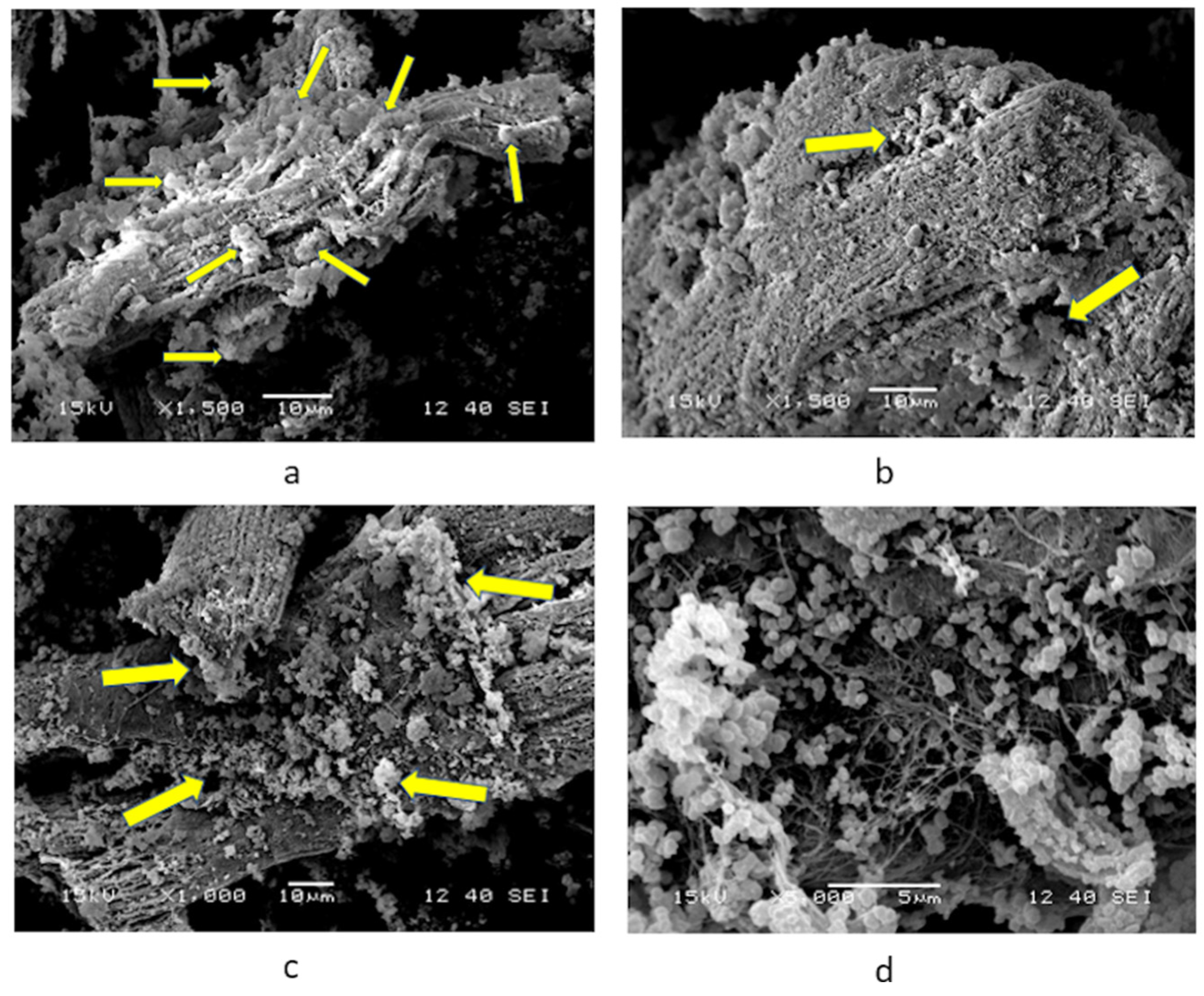 Polymers 16 01470 g006