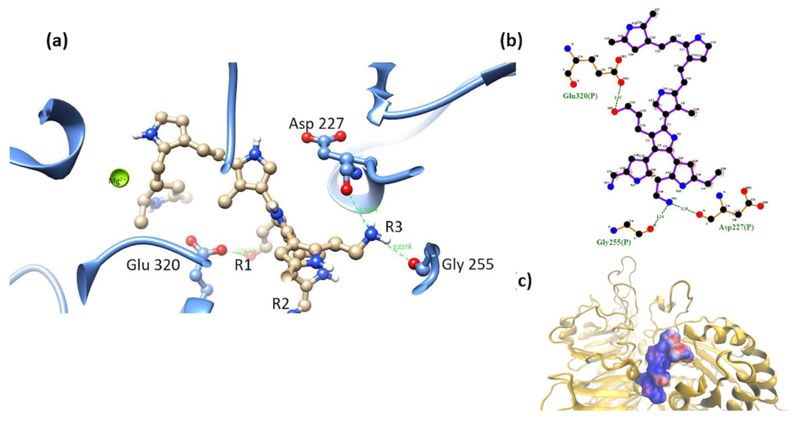 Polymers 16 01470 g015