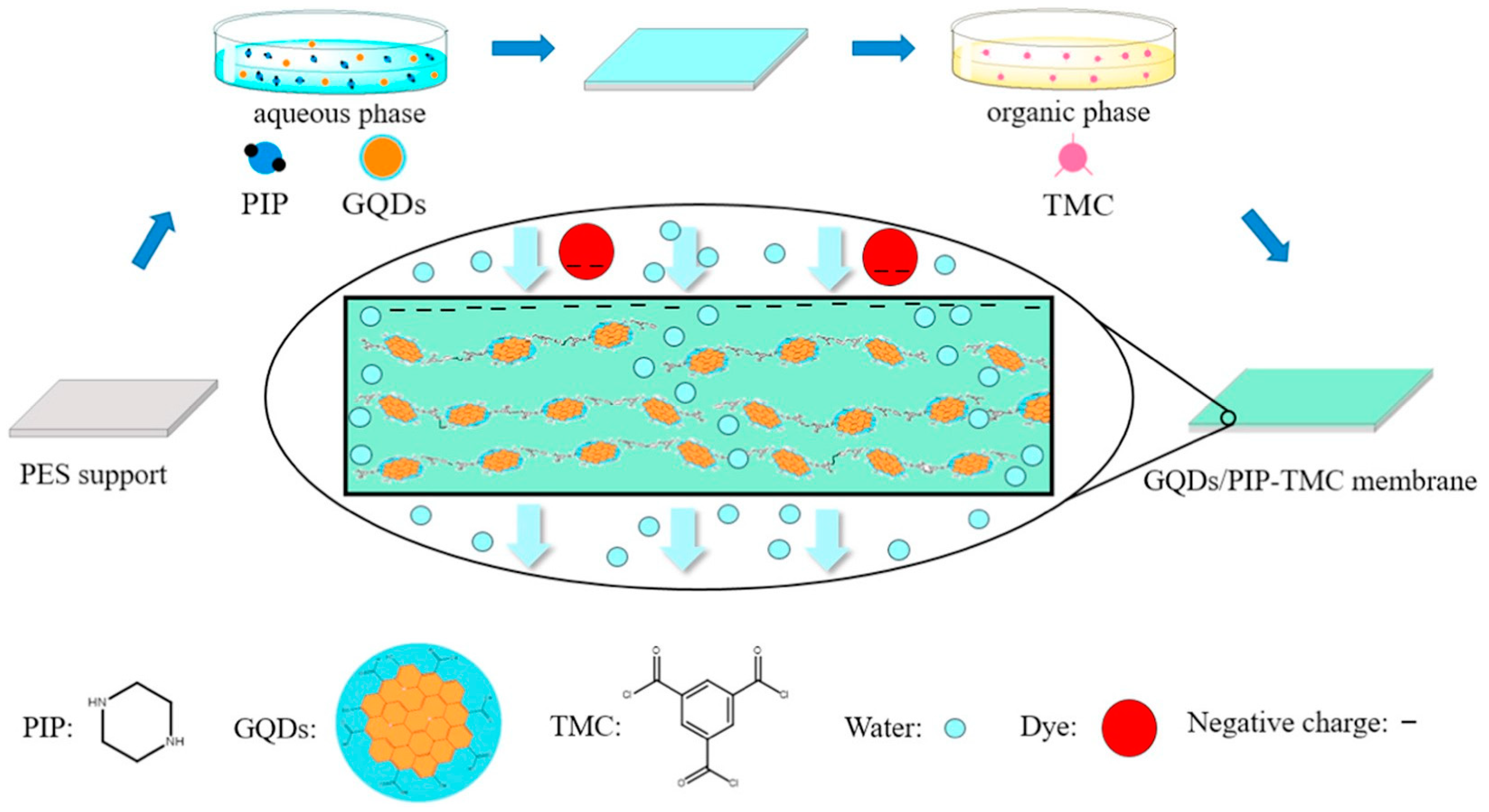 Polymers 16 01481 g002