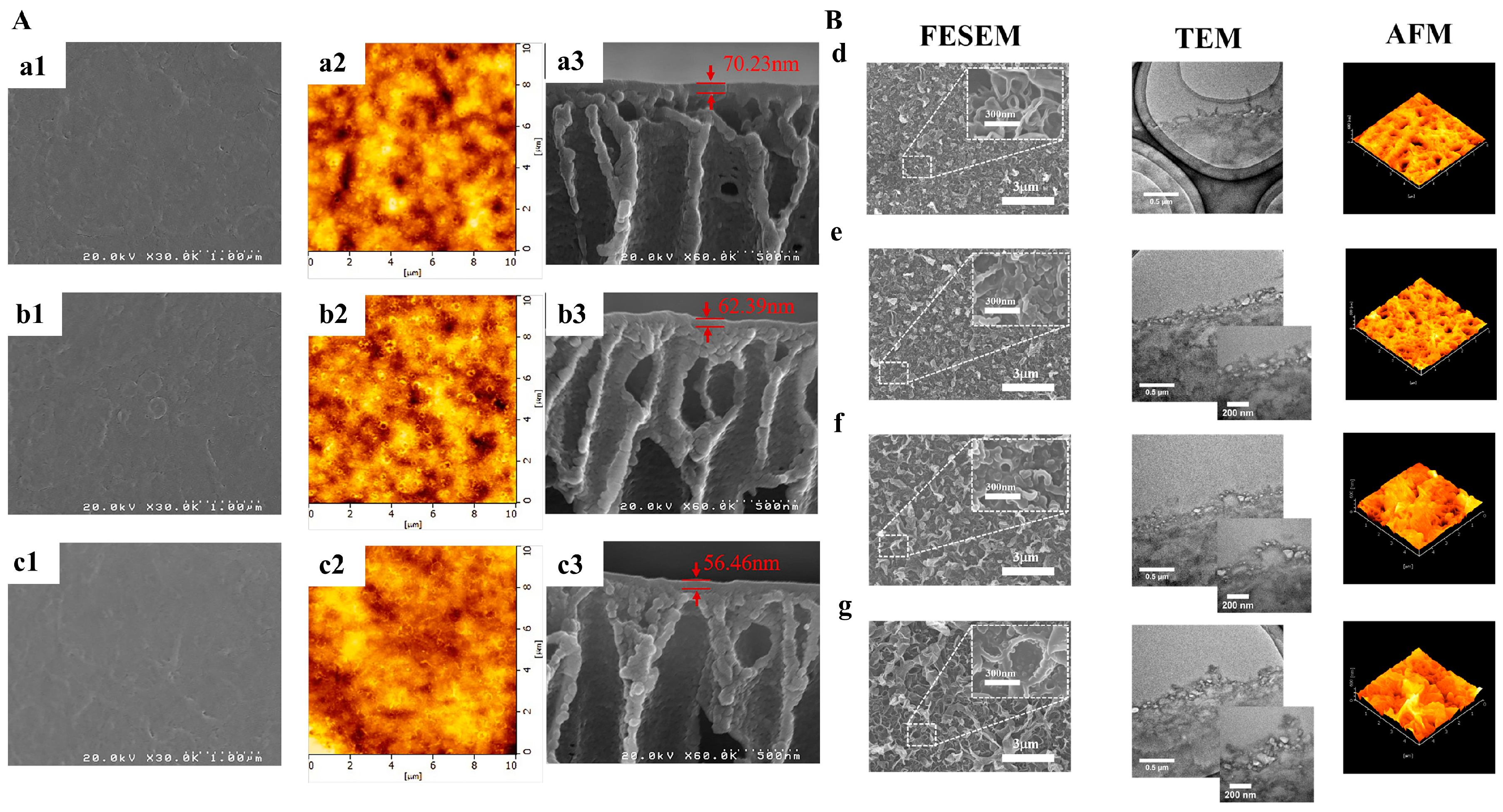 Polymers 16 01481 g004